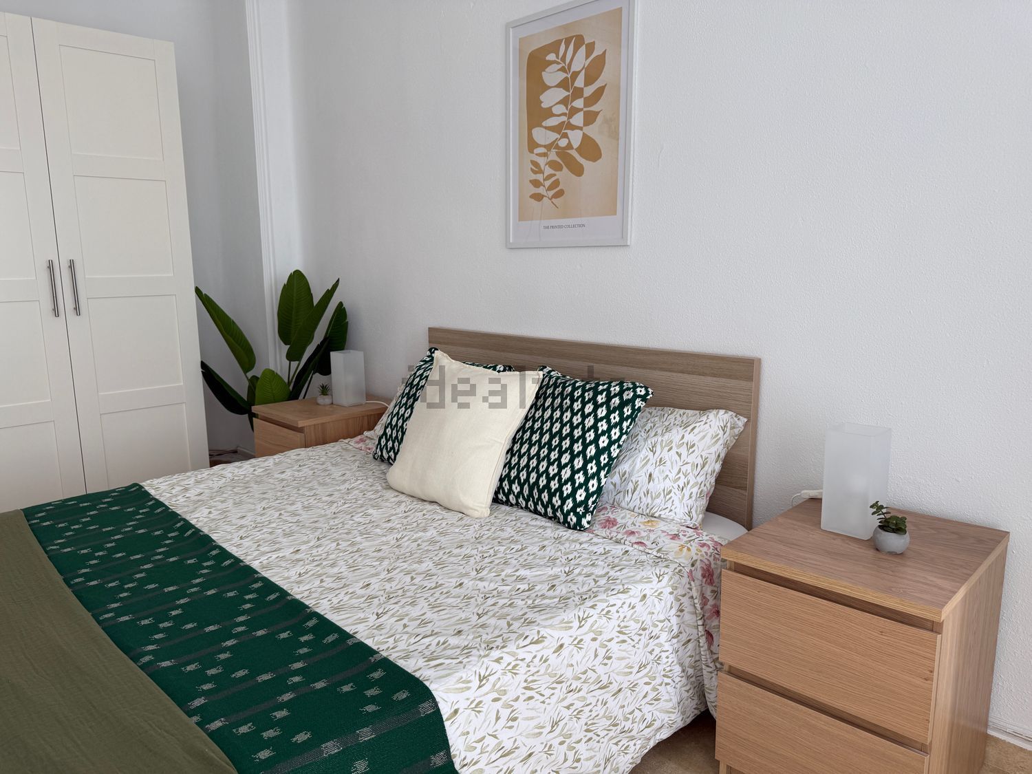 Habitació de lloguer, Castelló de la Plana