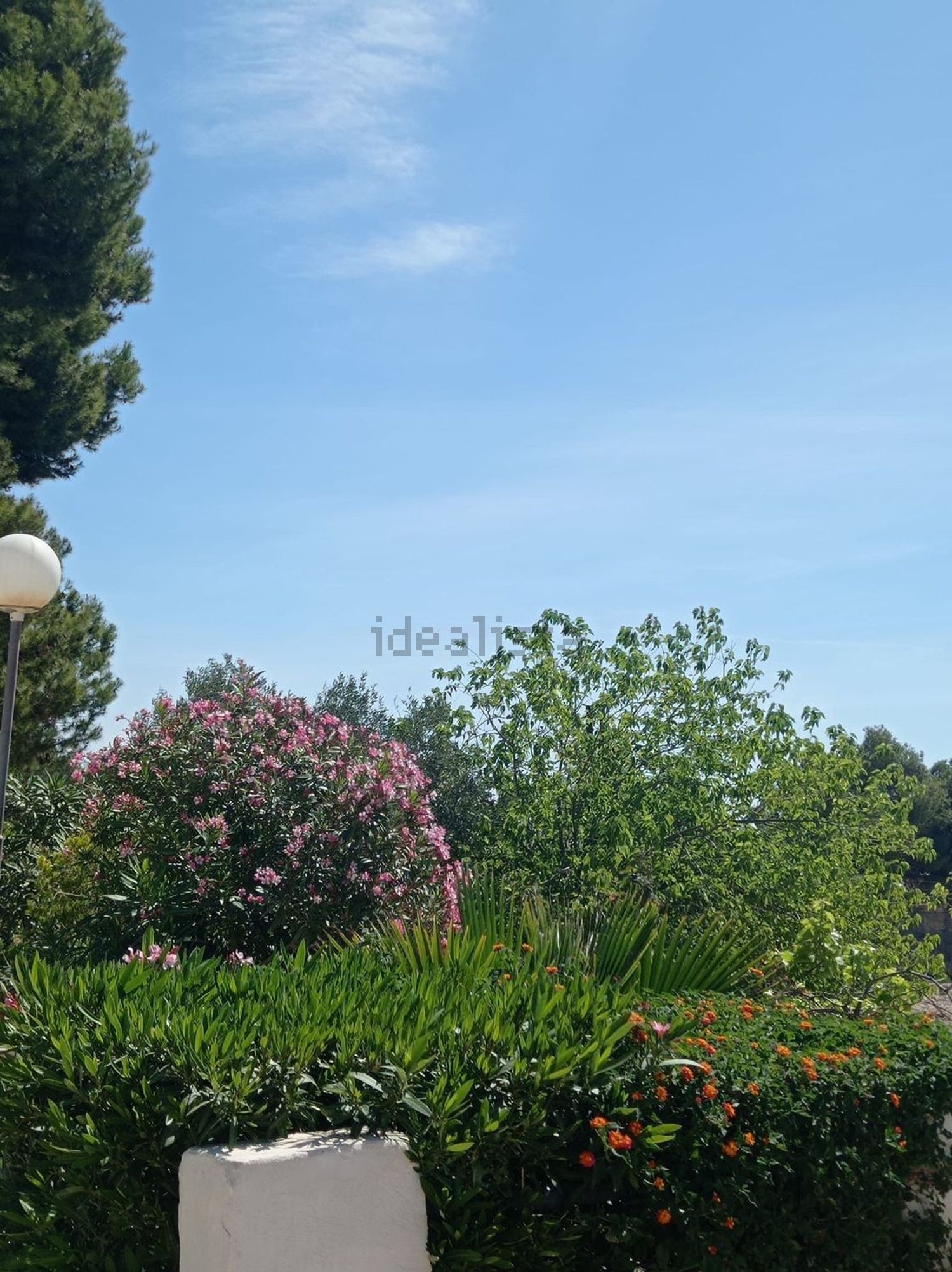 Casa de 350 m² en Crevillent