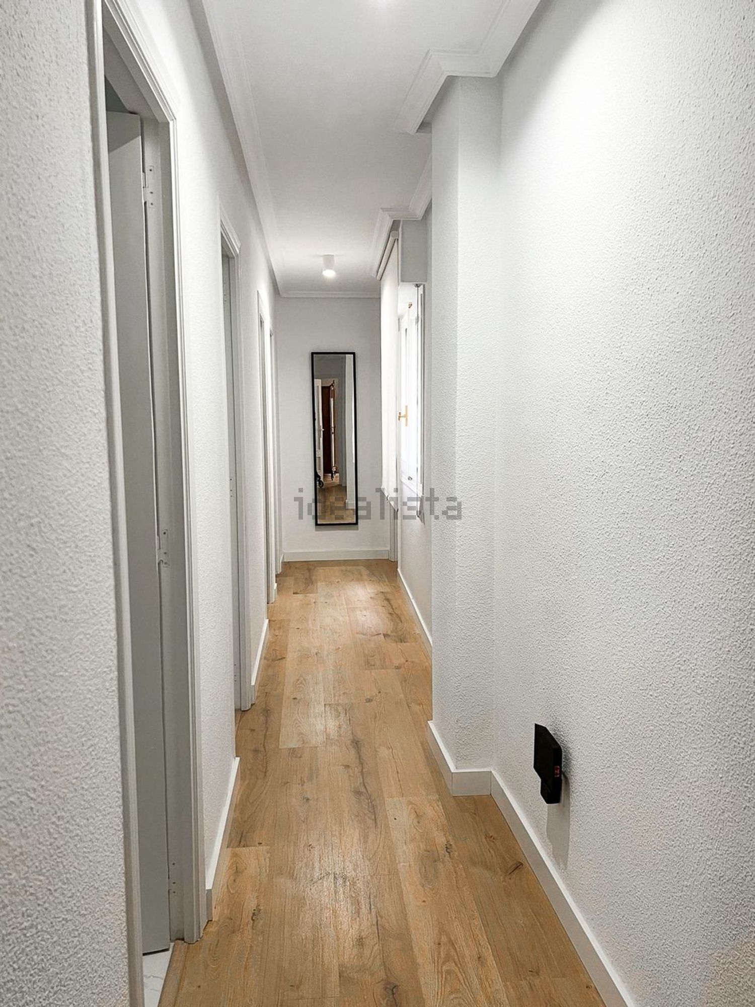 Habitació de lloguer, Elx