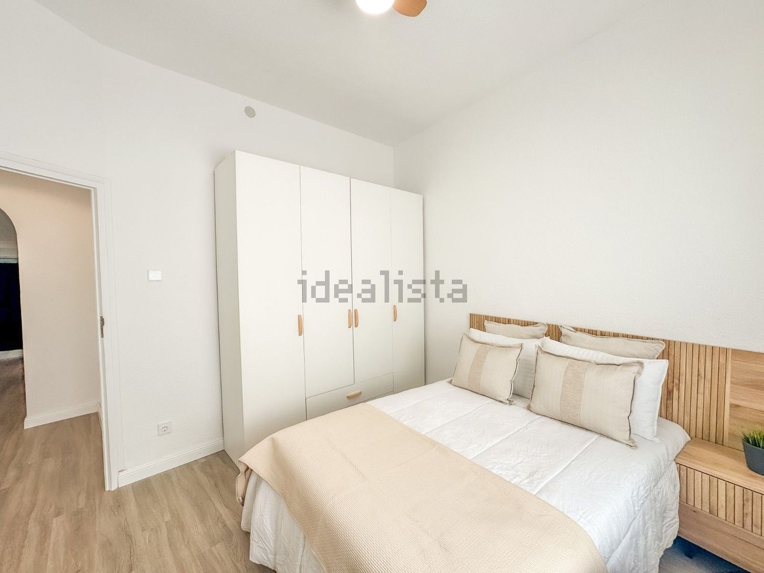 Habitació de lloguer, Elx