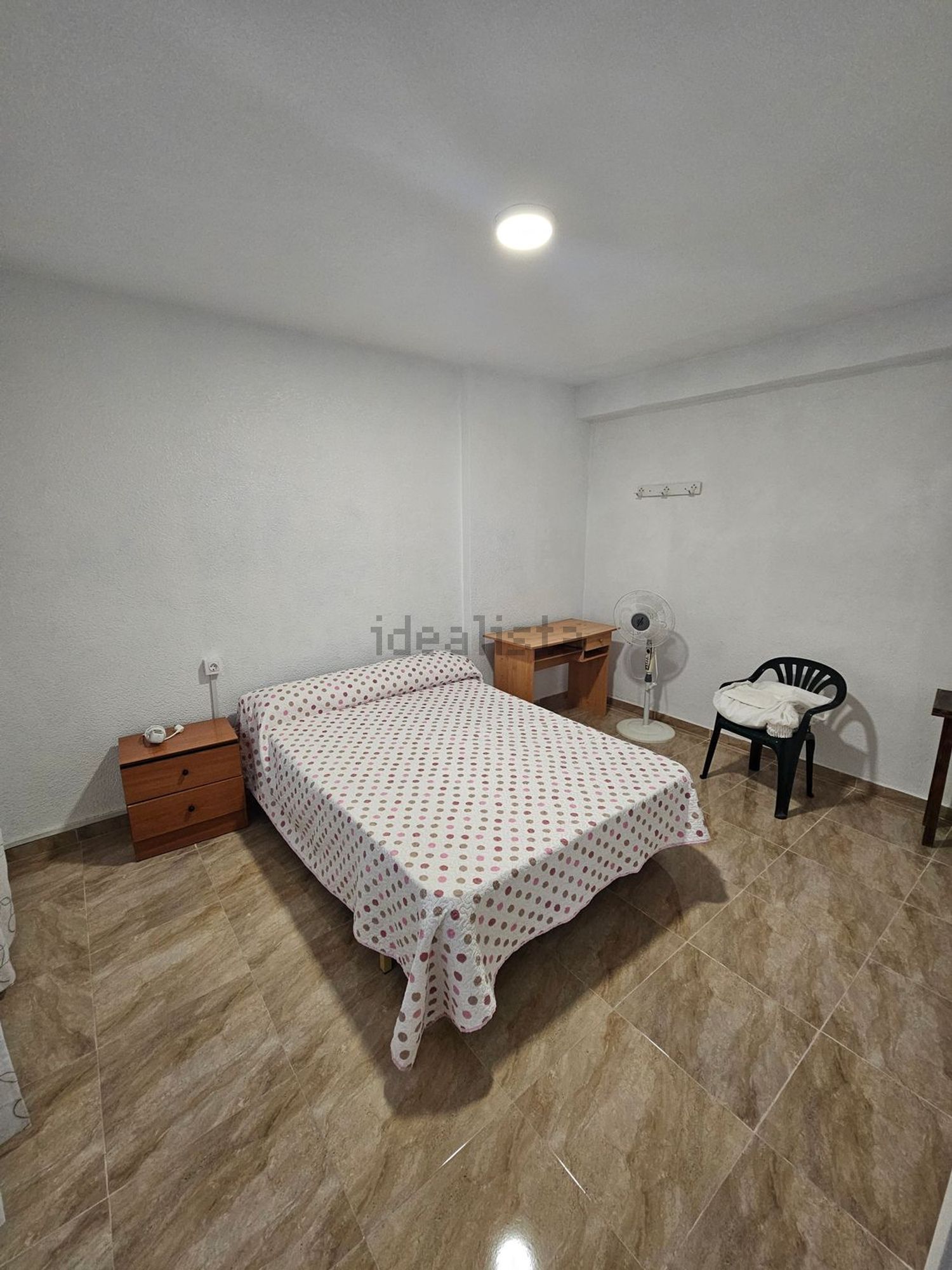 Habitació de lloguer, Elx