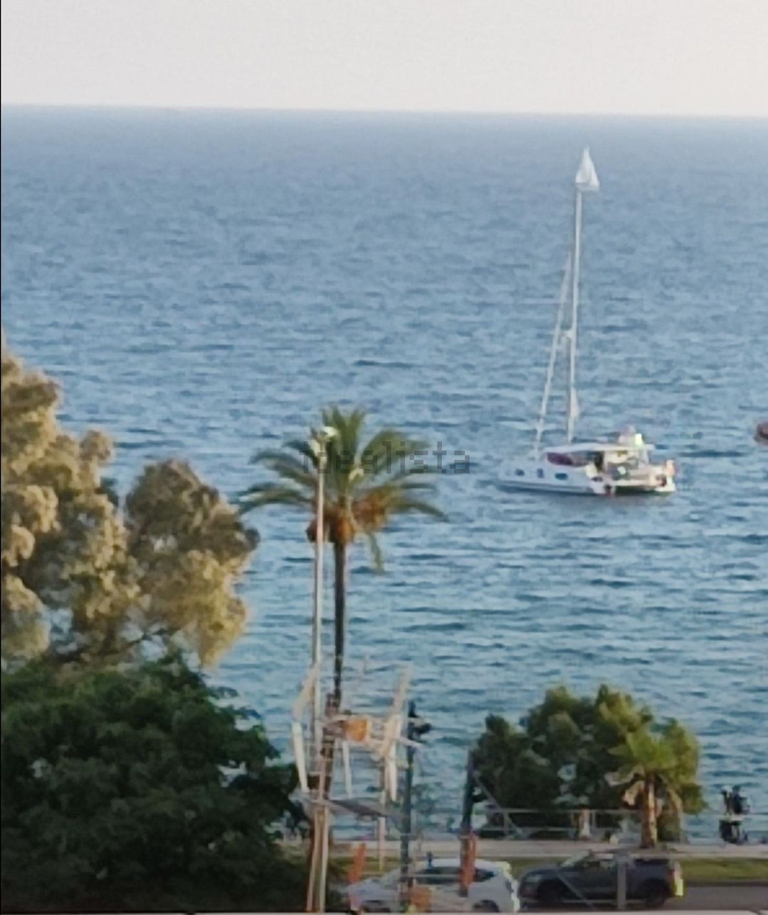 Stanza in affitto, Palma