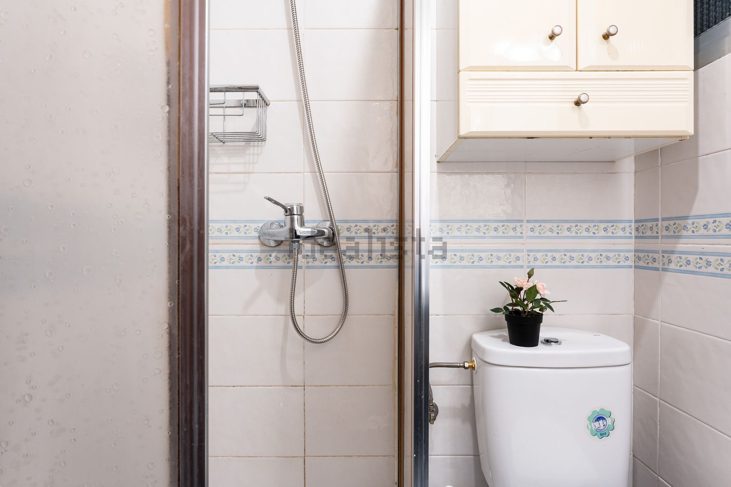 Habitació de lloguer, Màlaga