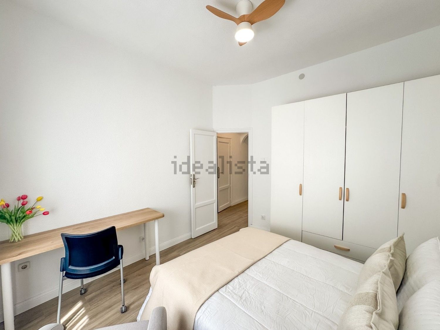 Habitació de lloguer, Elx