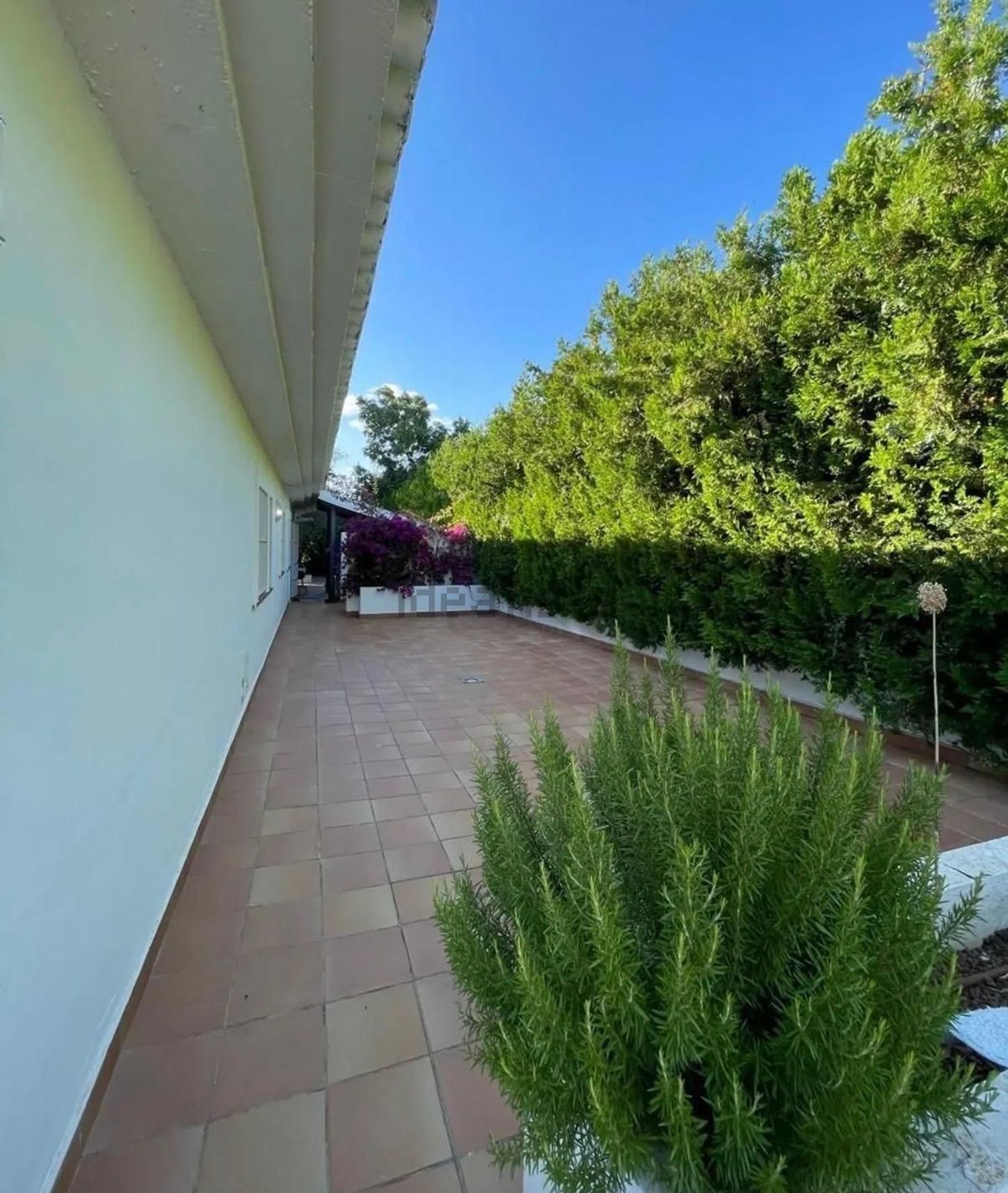 Casa de 355 m² a Mairena del Aljarafe