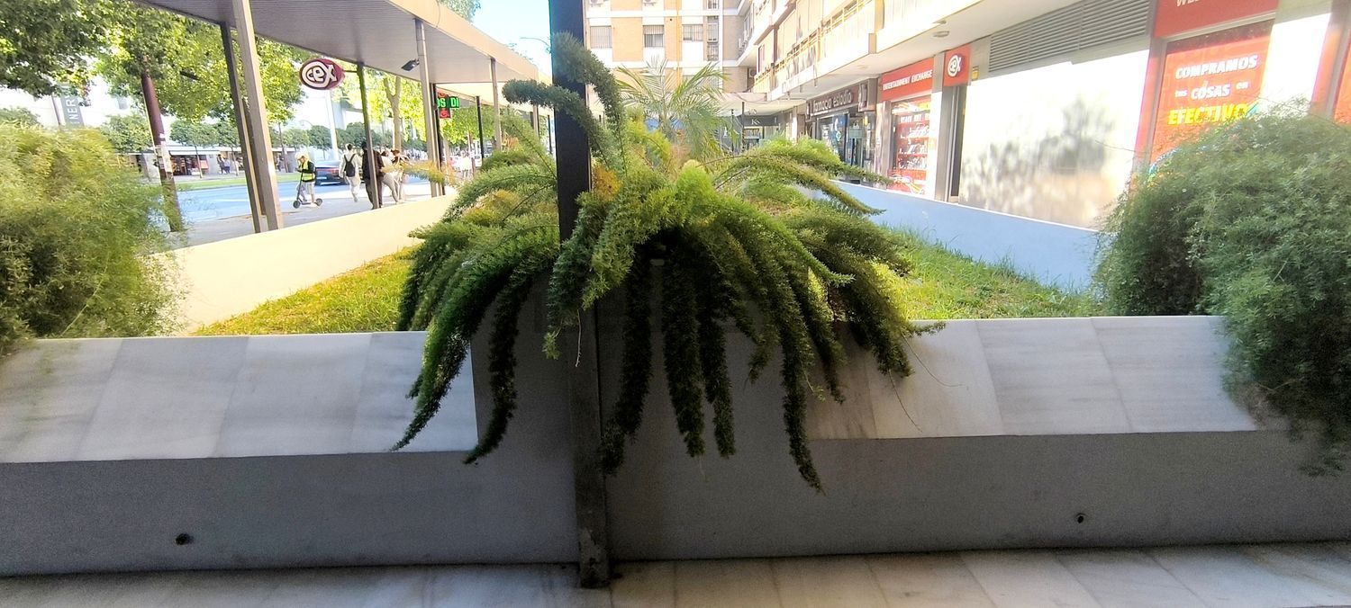 Apartamento 150 m² em Sevilla