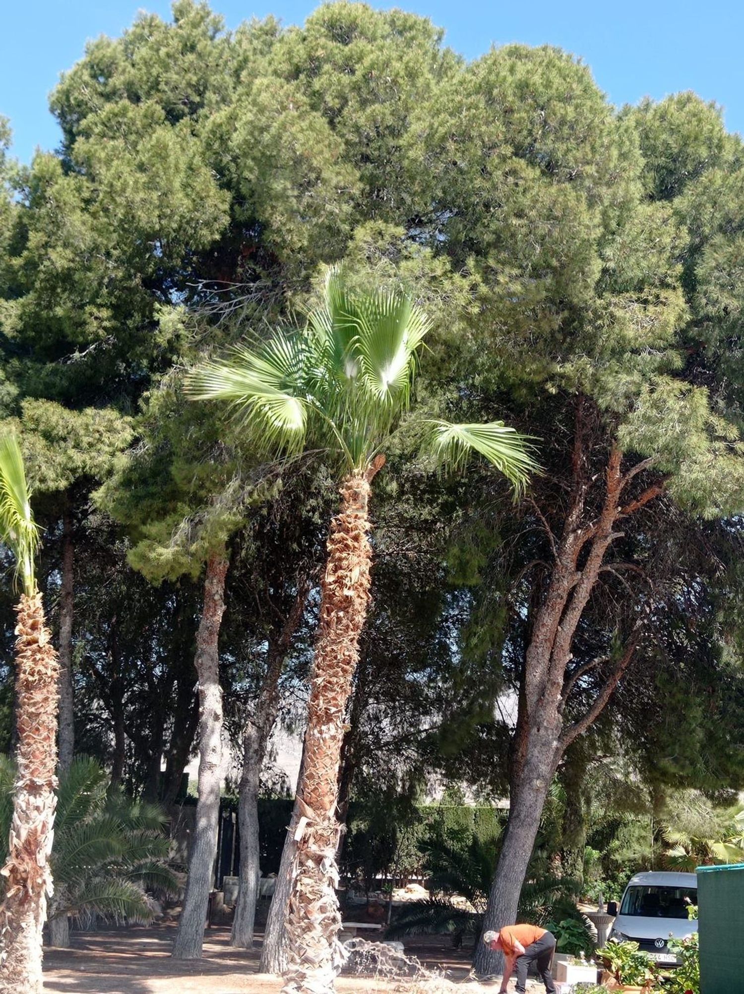 Casa de 350 m² en Crevillent