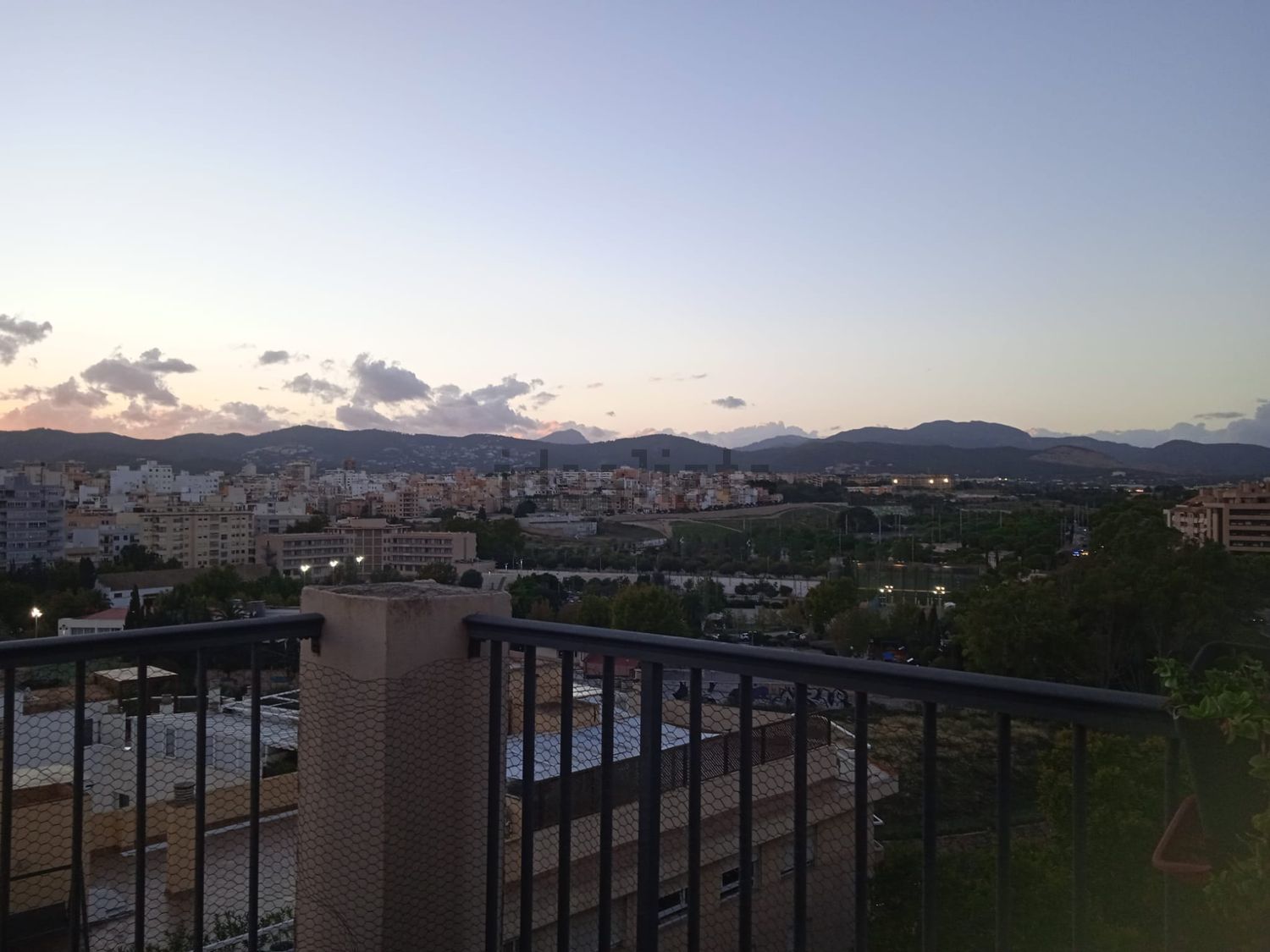 Habitació de lloguer, Palma