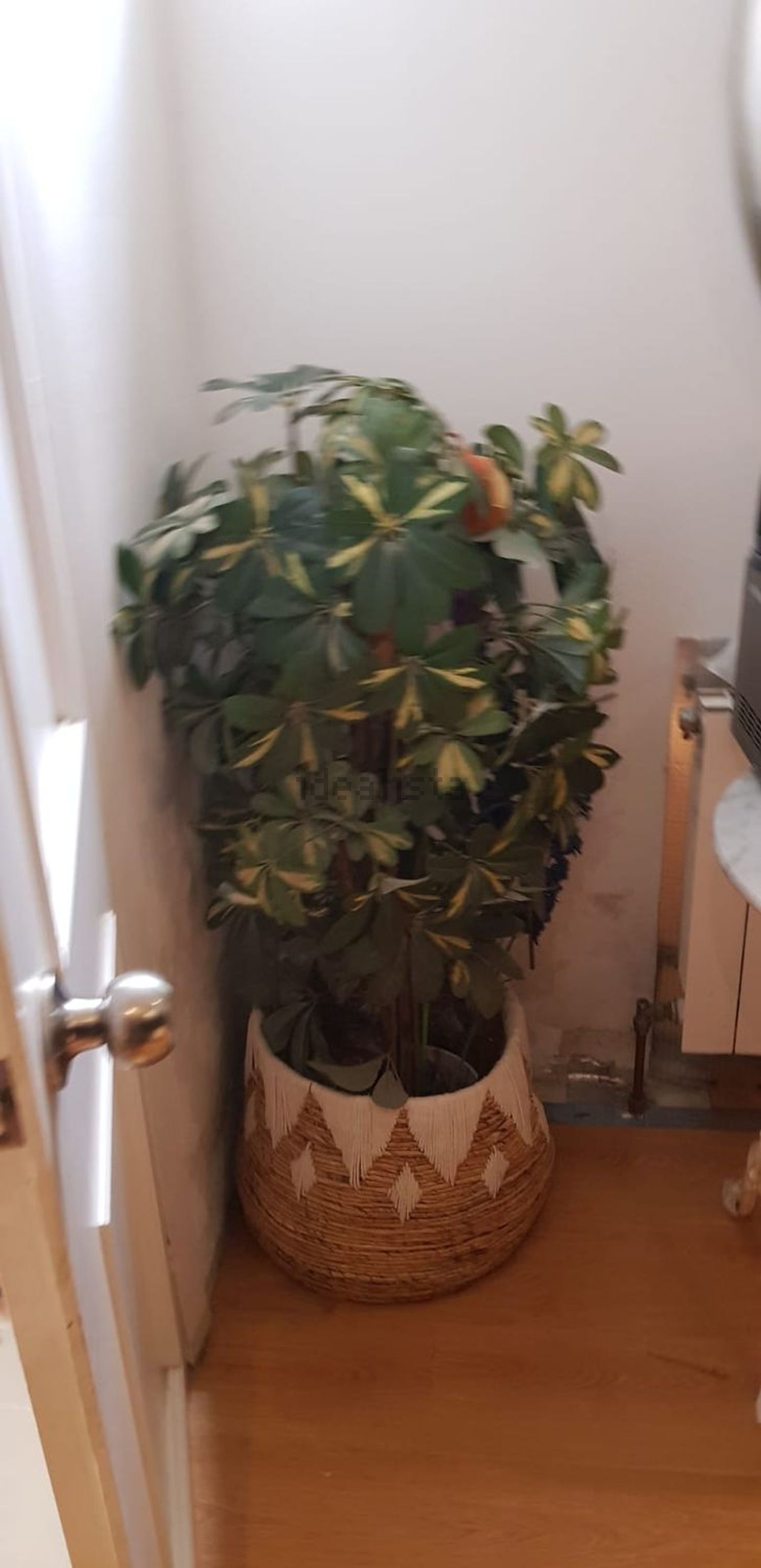Appartamento 39 m² a Marbella