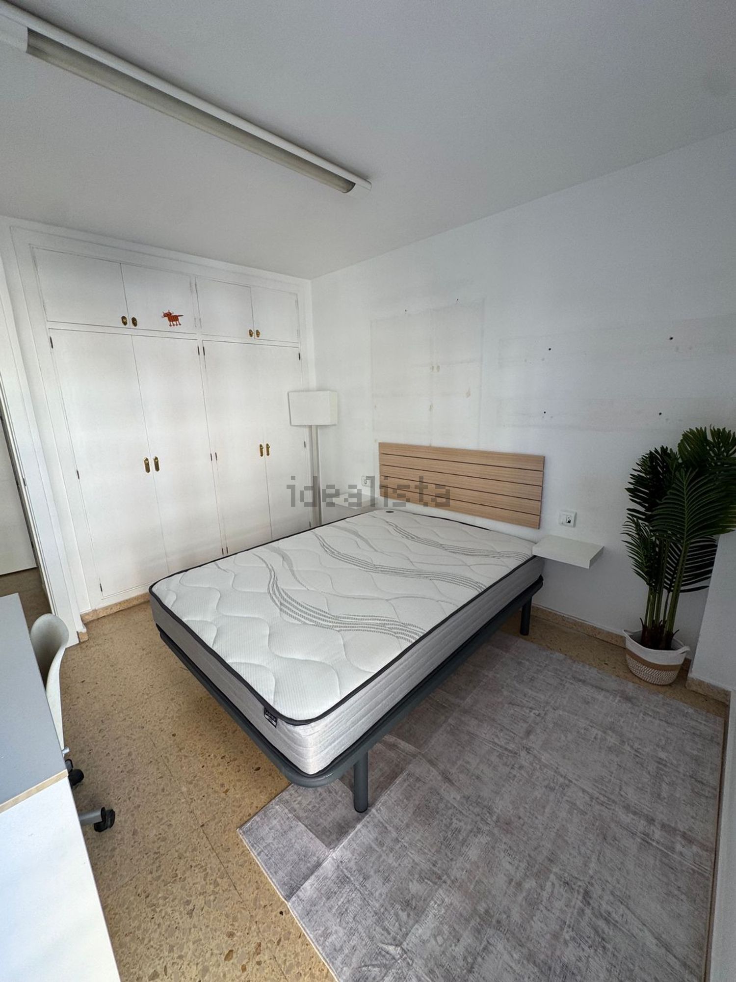 Habitació de lloguer, Palma