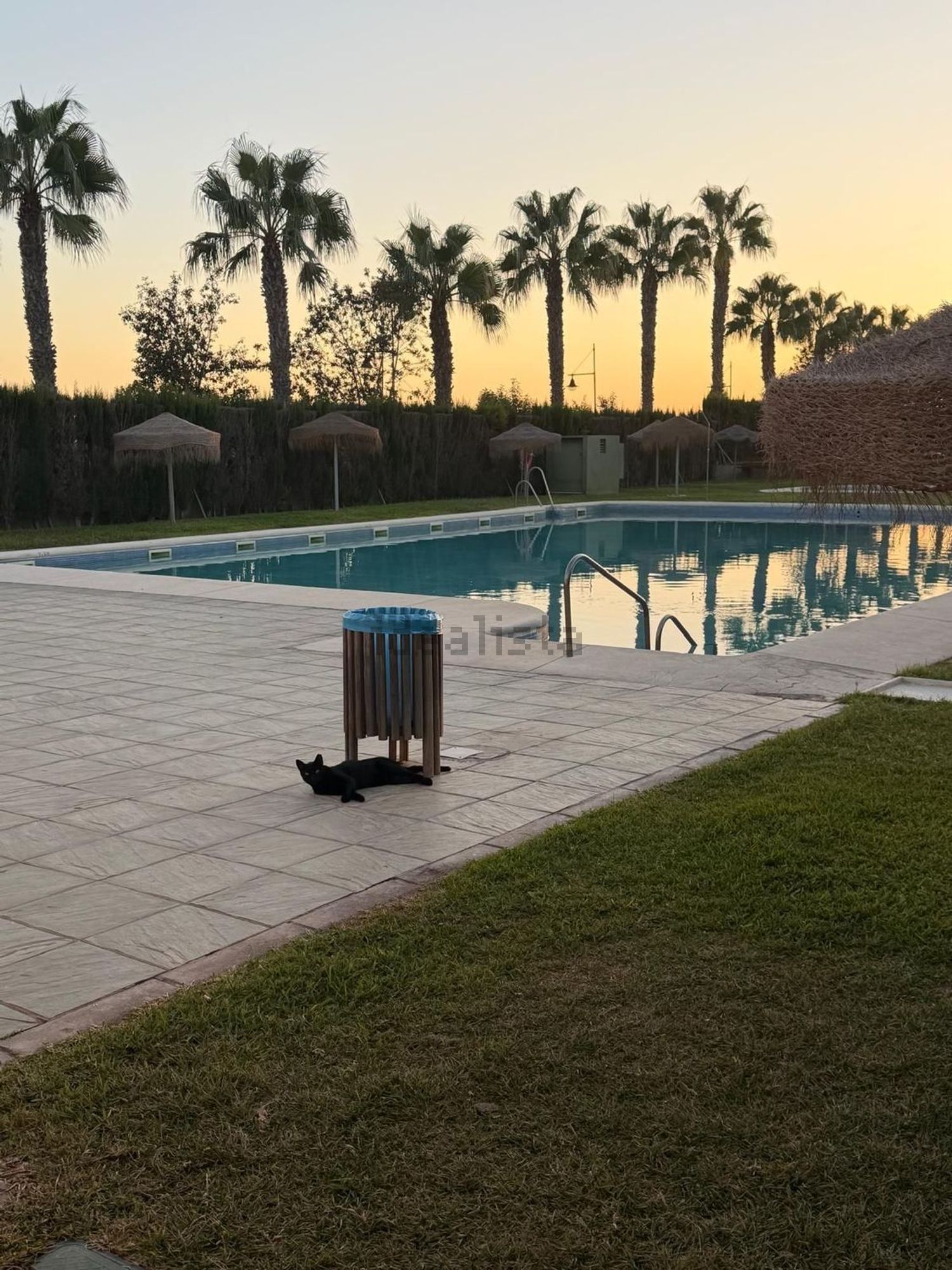 Piso de 75 m² en El Ejido