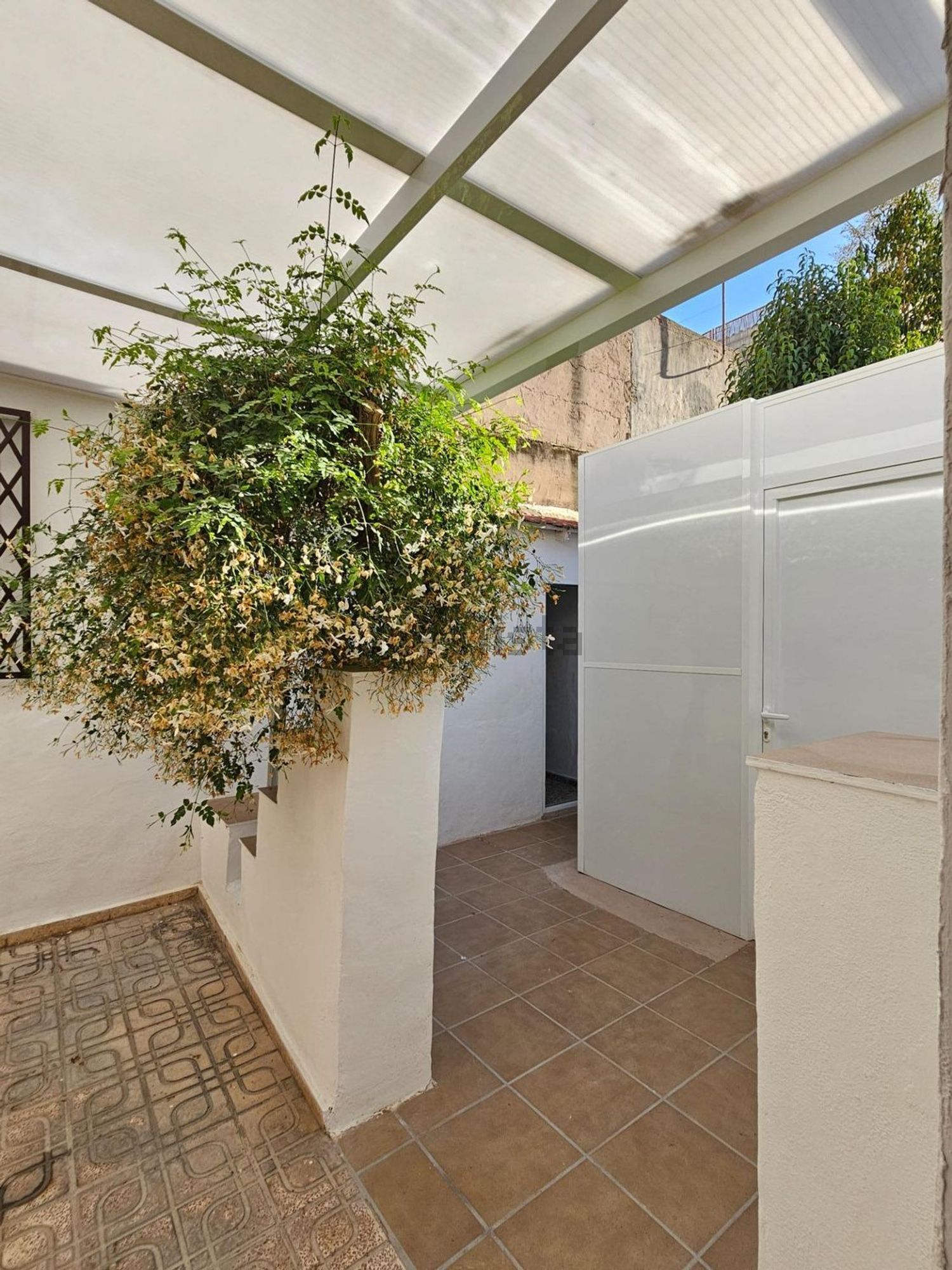 Habitació de lloguer, Sant Vicent del Raspeig