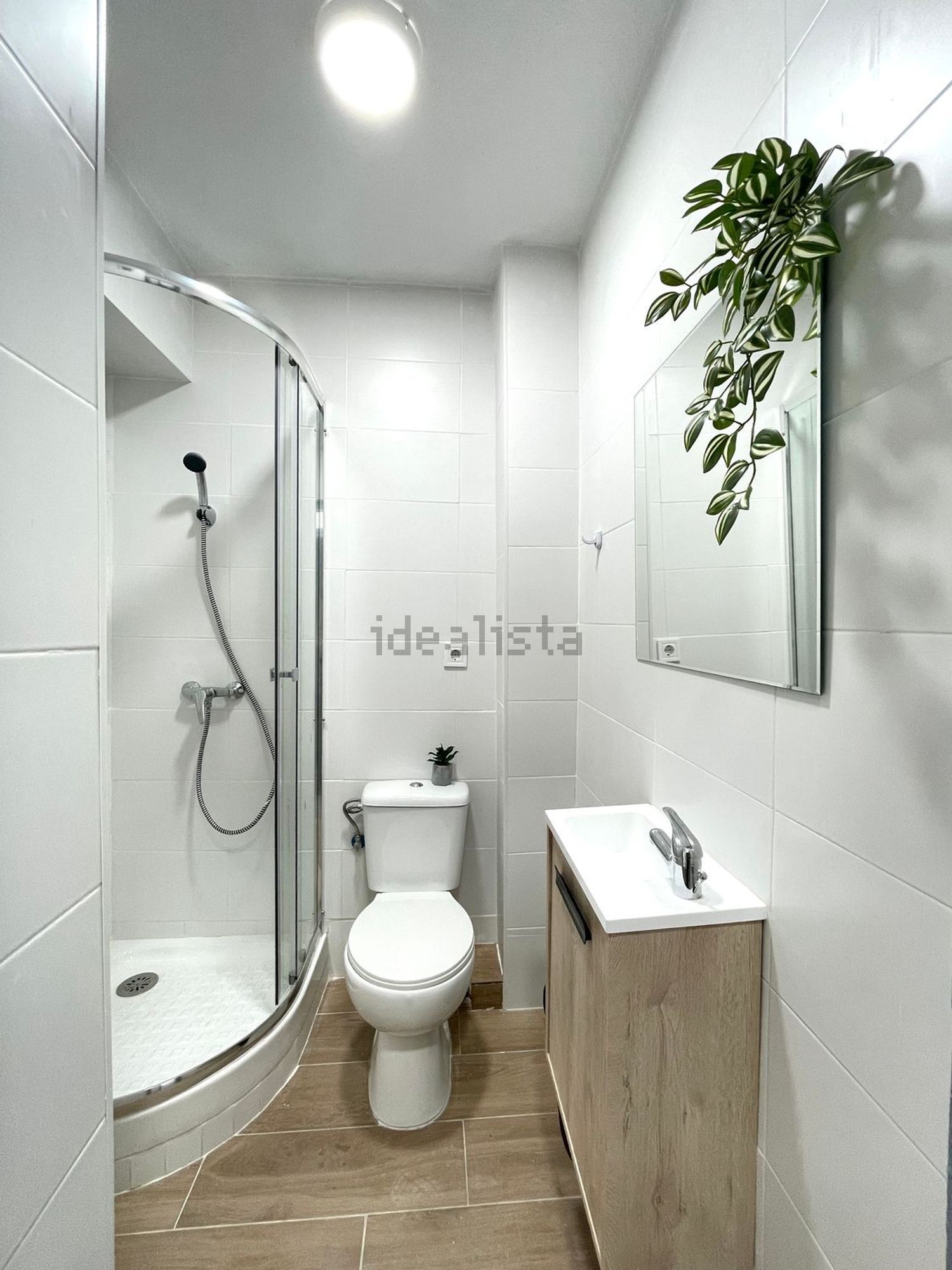 Habitació de lloguer, Alacant