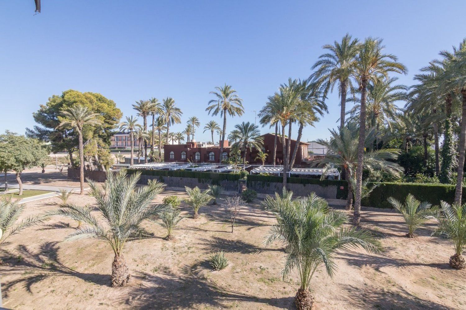 Appartement 180 m² à Elx / Elche