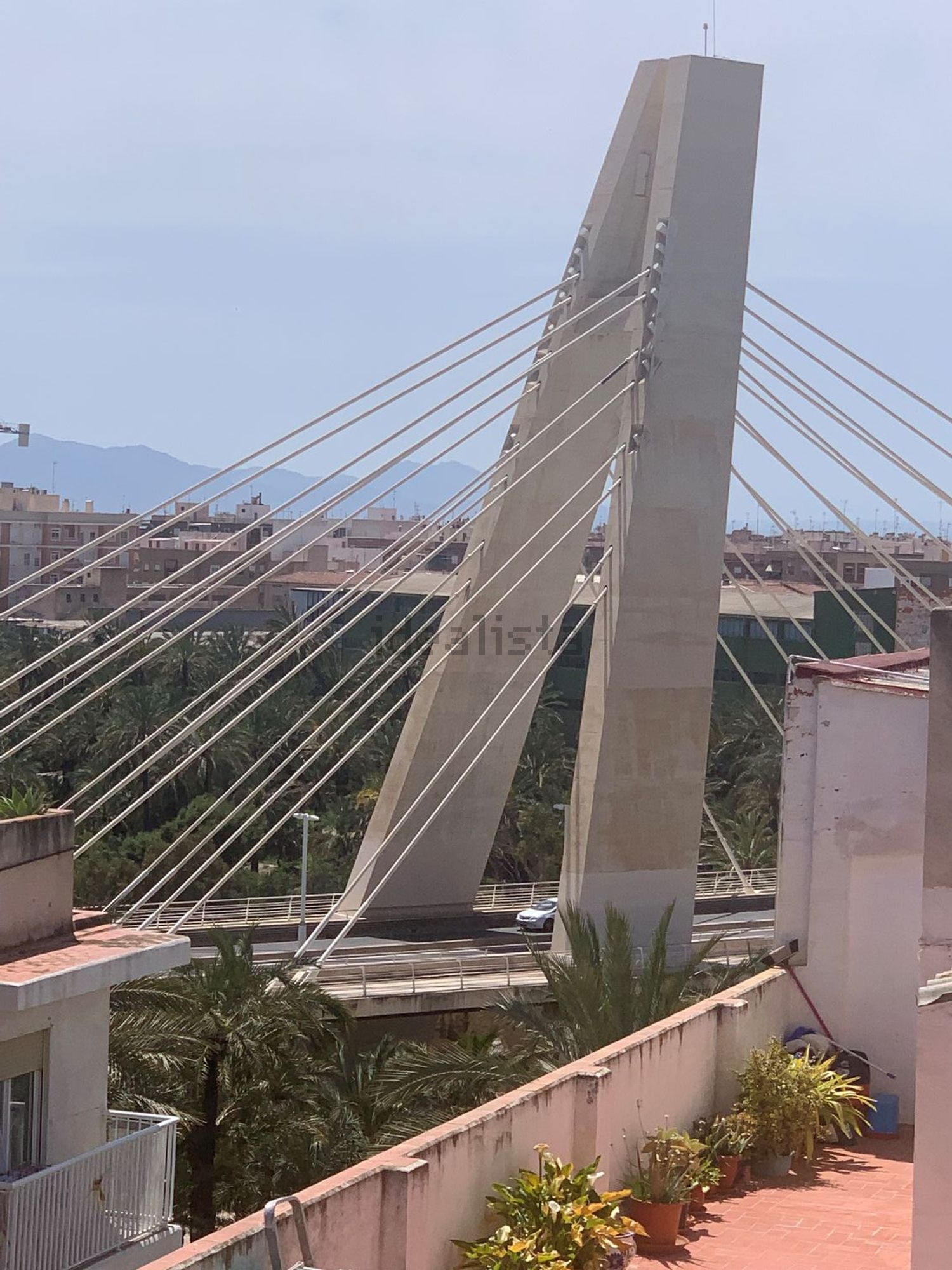 Habitació de lloguer, Elx