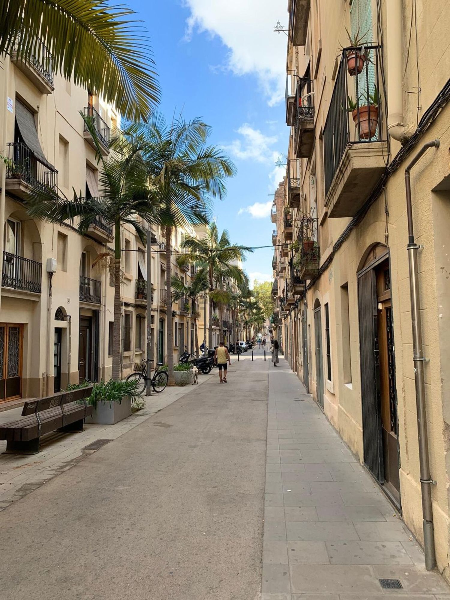 Zimmer zur Miete, Barcelona