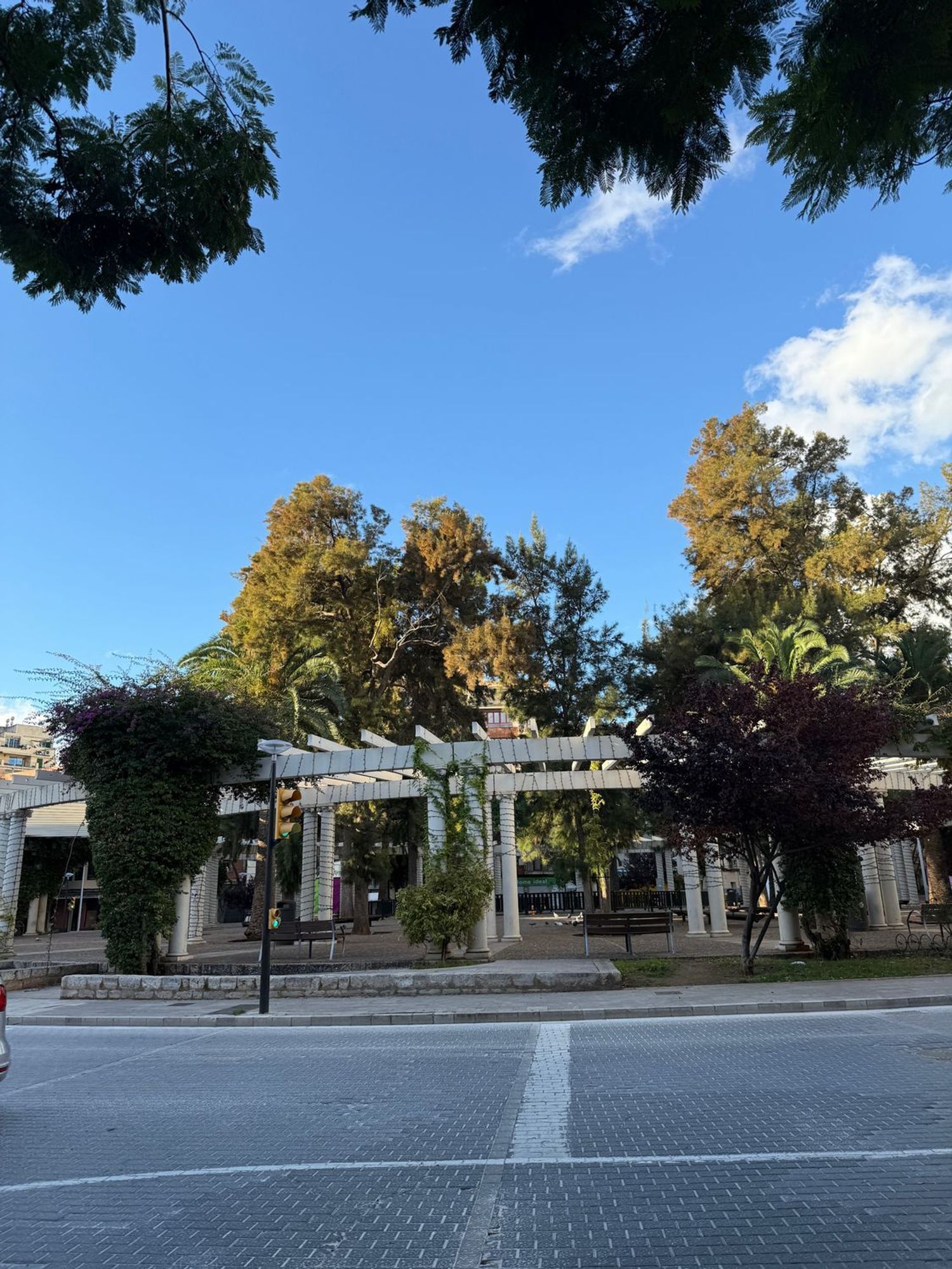 Habitació de lloguer, Palma