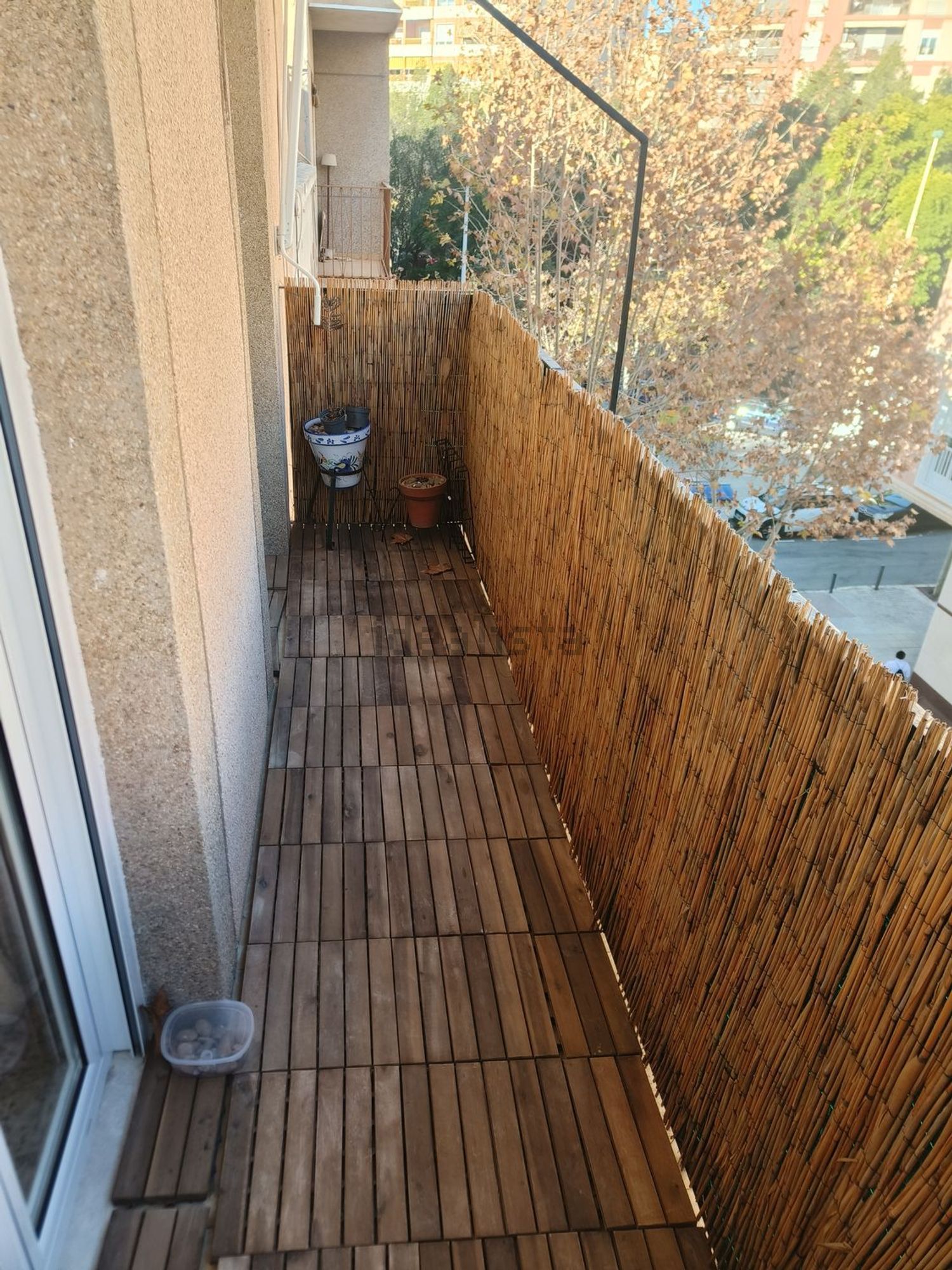 Habitació de lloguer, Elx