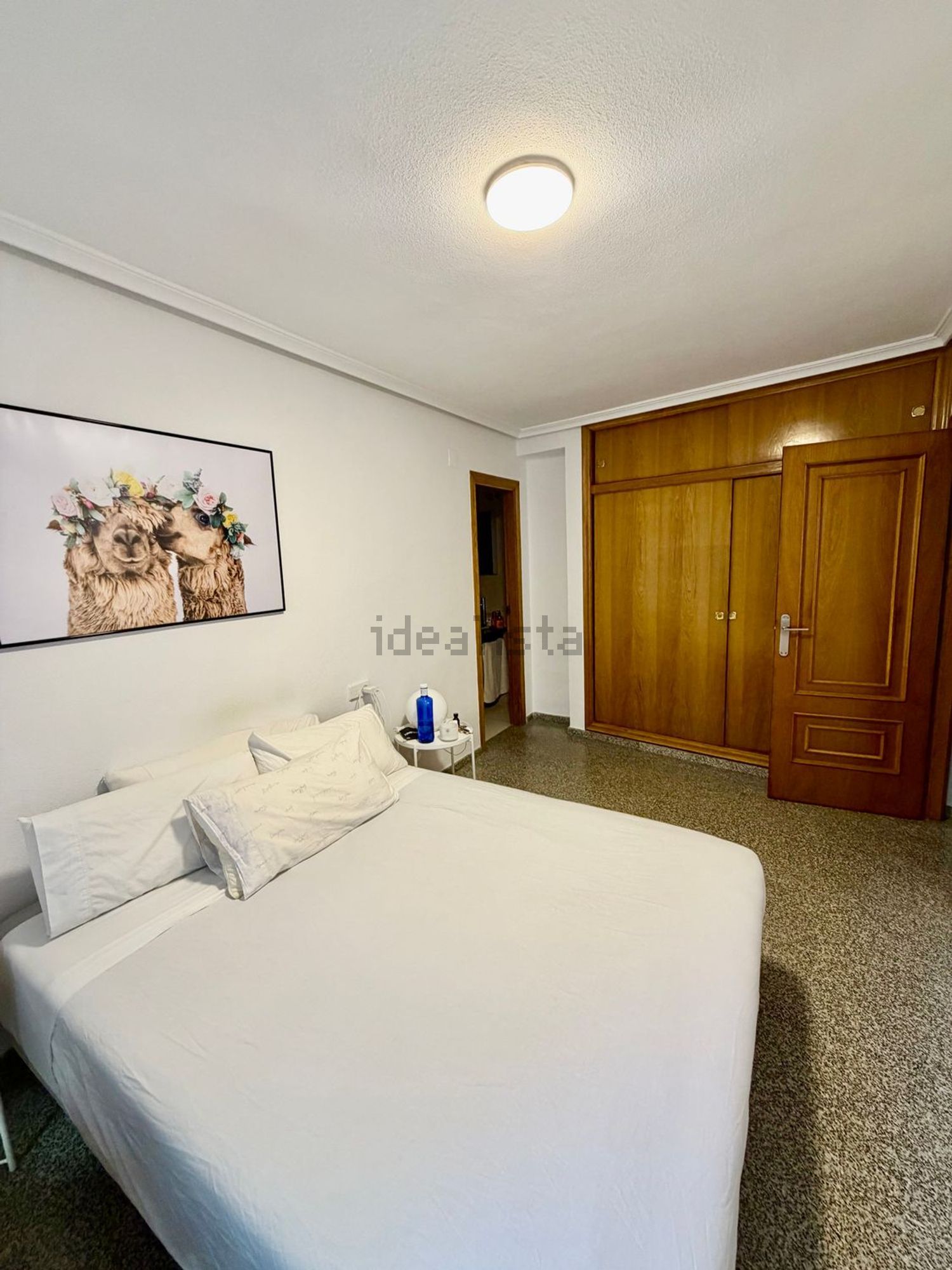 Habitació de lloguer, Alacant