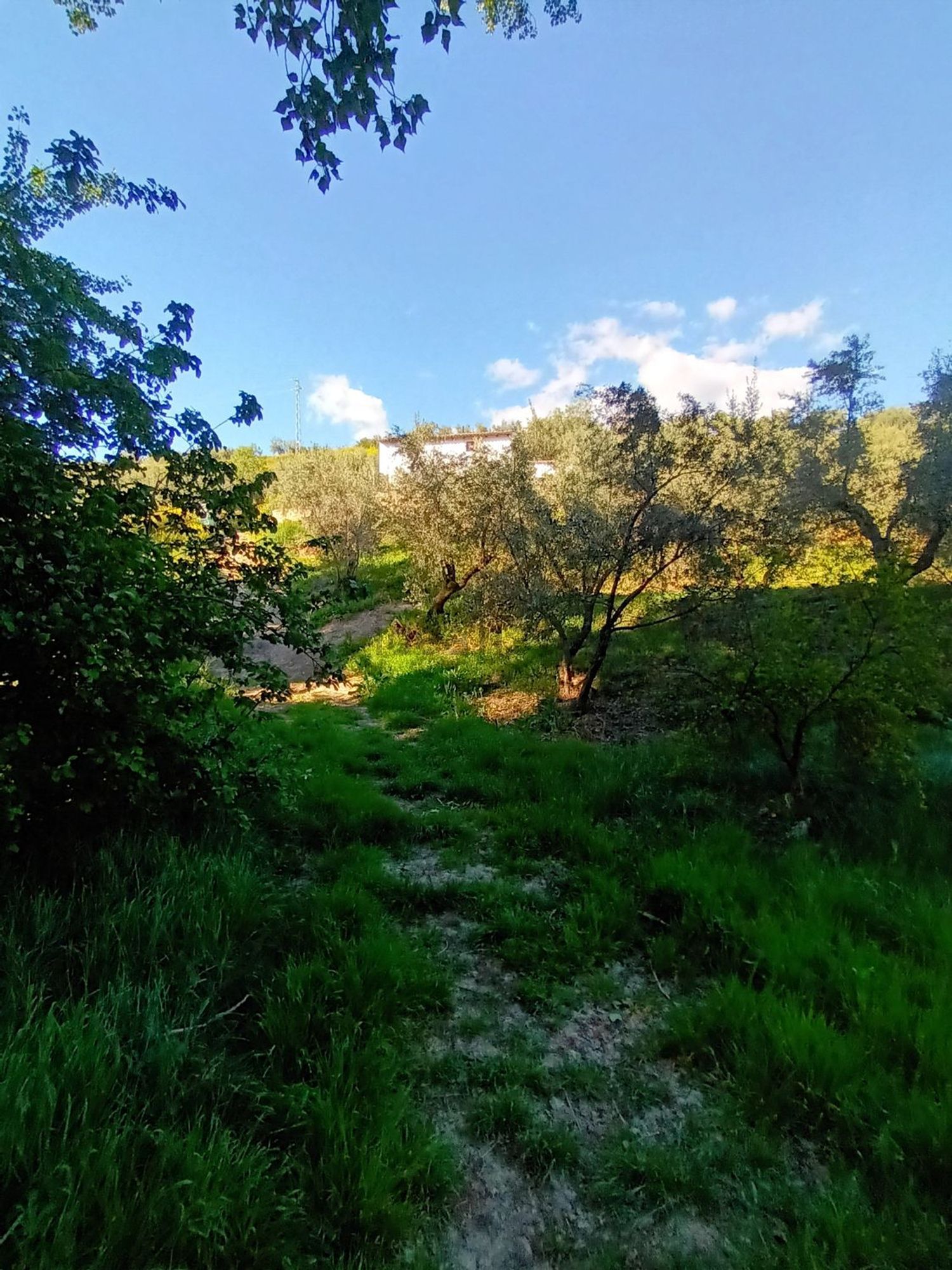 Pis de 120 m² a Quesada