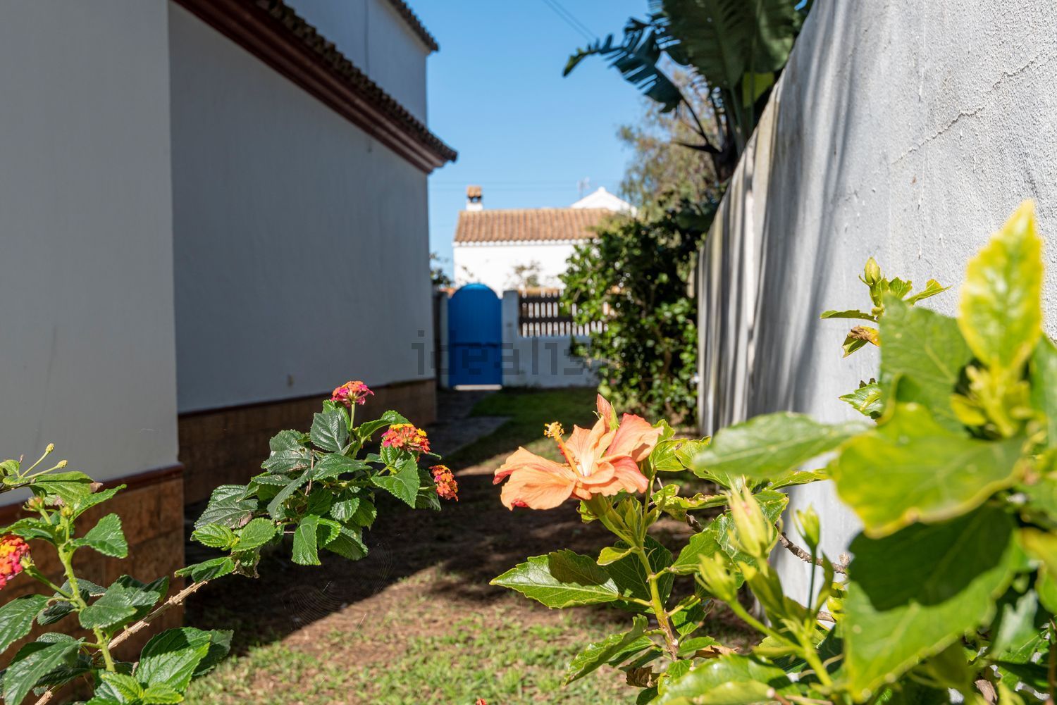 Pis de 82 m² a Barbate