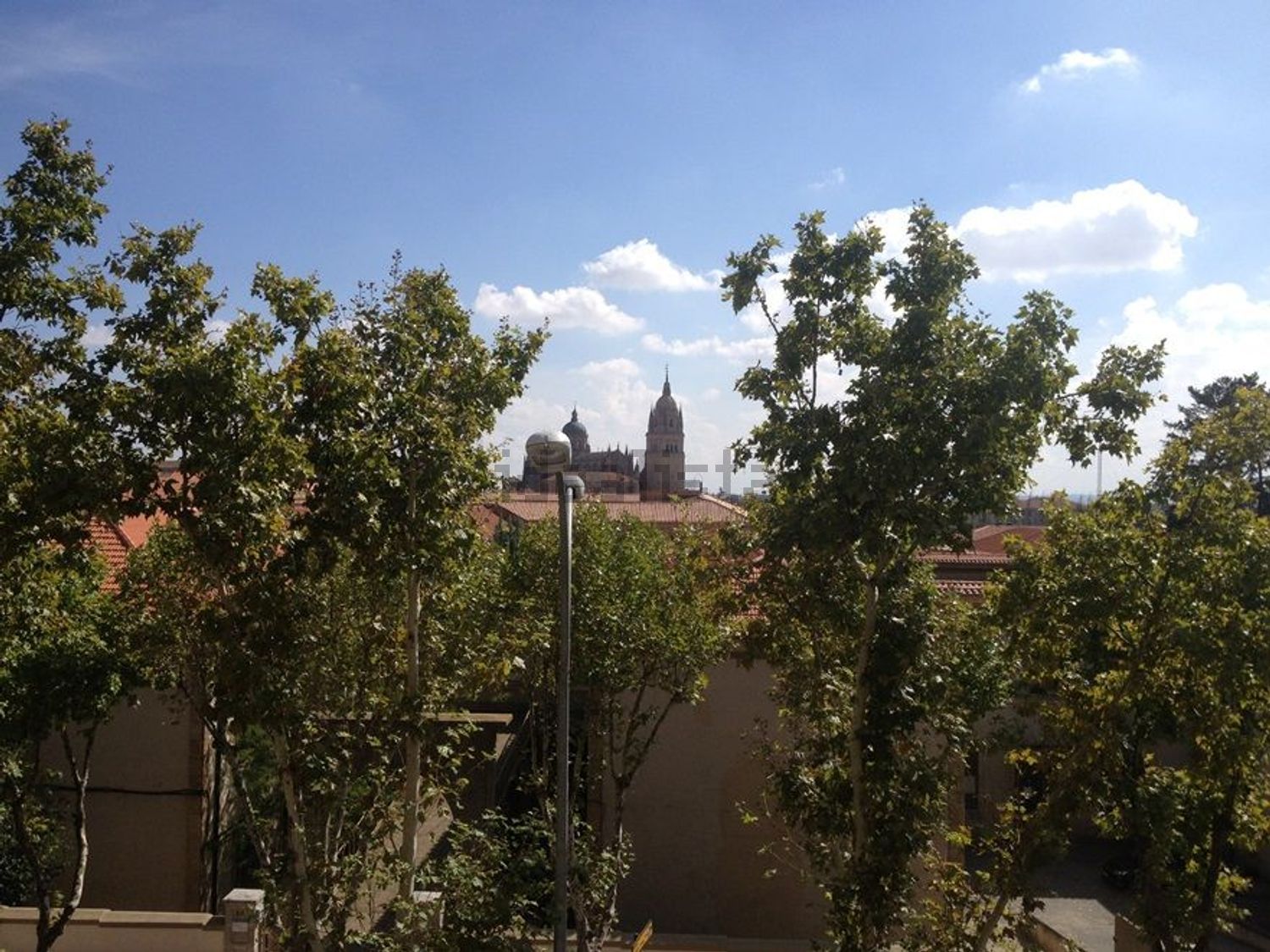 Habitació de lloguer, Salamanca