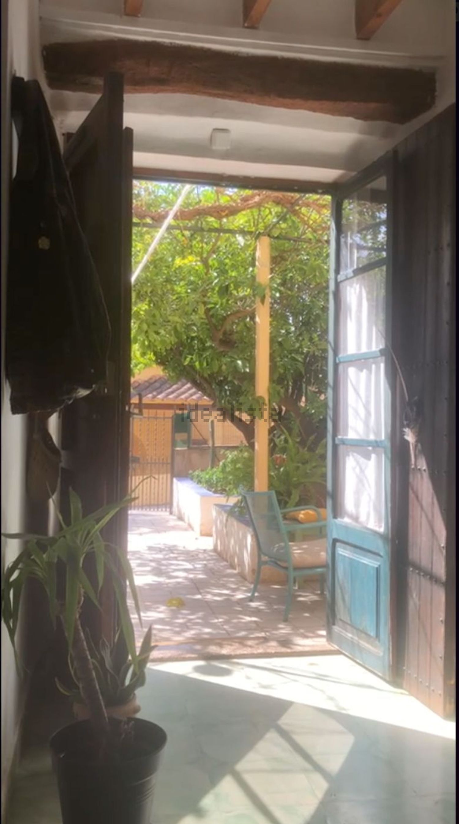 Stanza in affitto, Selva