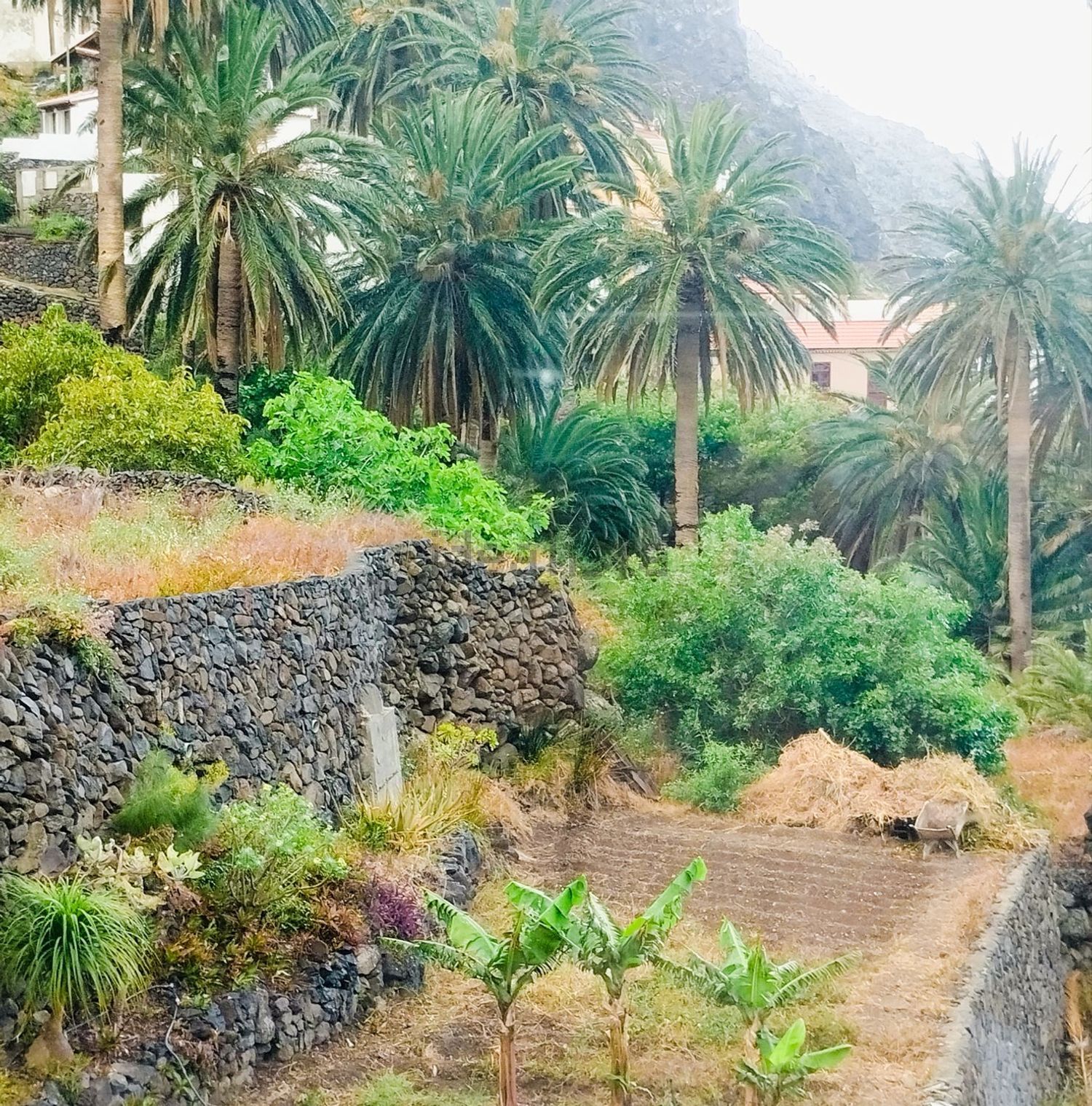 Casa 90 m² a Valle Gran Rey