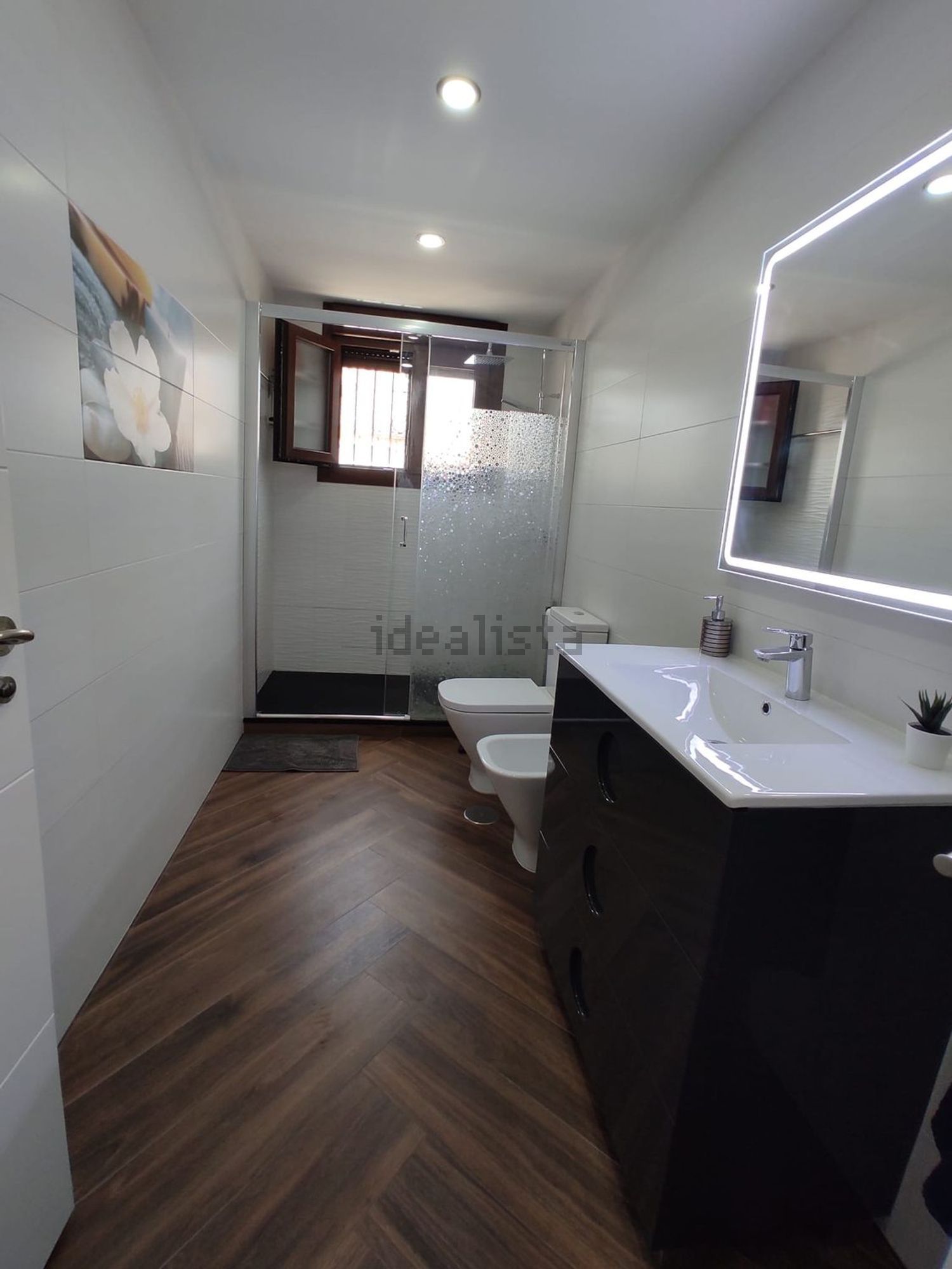 Chambre à louer, Málaga