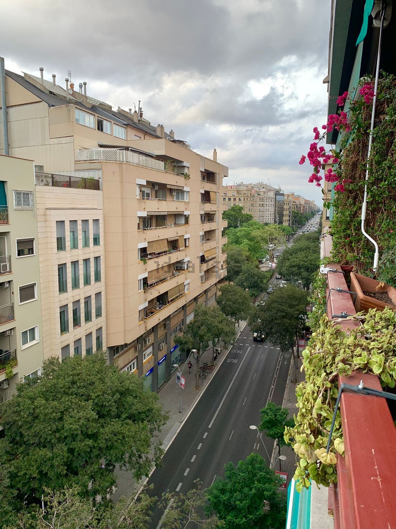 Habitación en alquiler, Barcelona