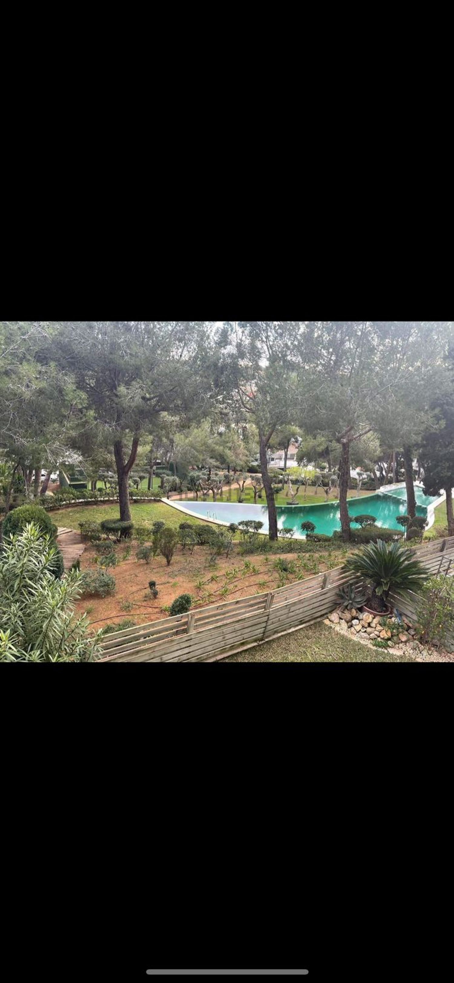 Habitació de lloguer, Calvià