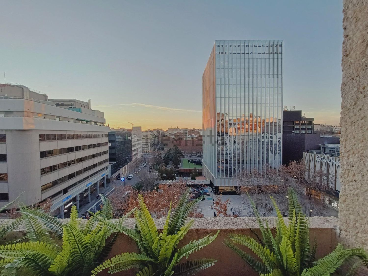Stanza in affitto, Madrid