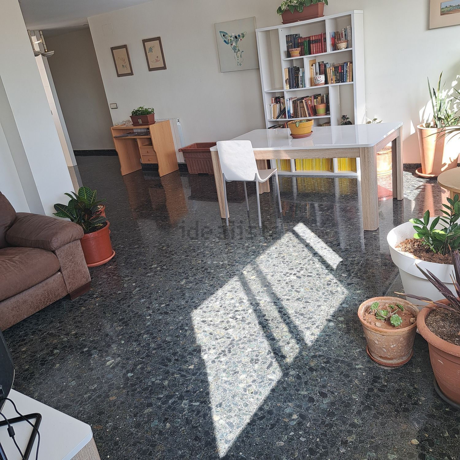 Habitació de lloguer, Tavernes Blanques