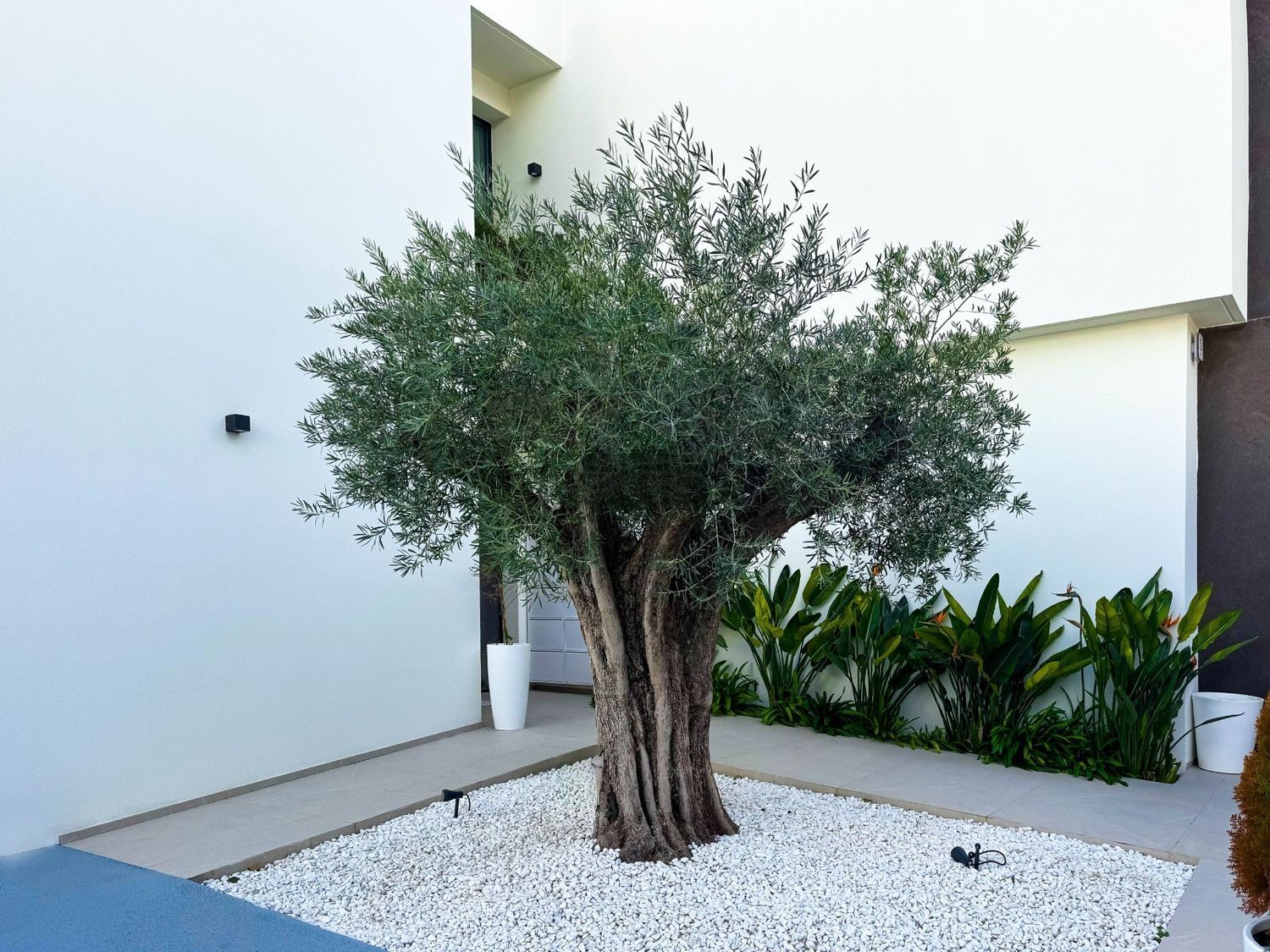 Casa de 500 m² en Alicante