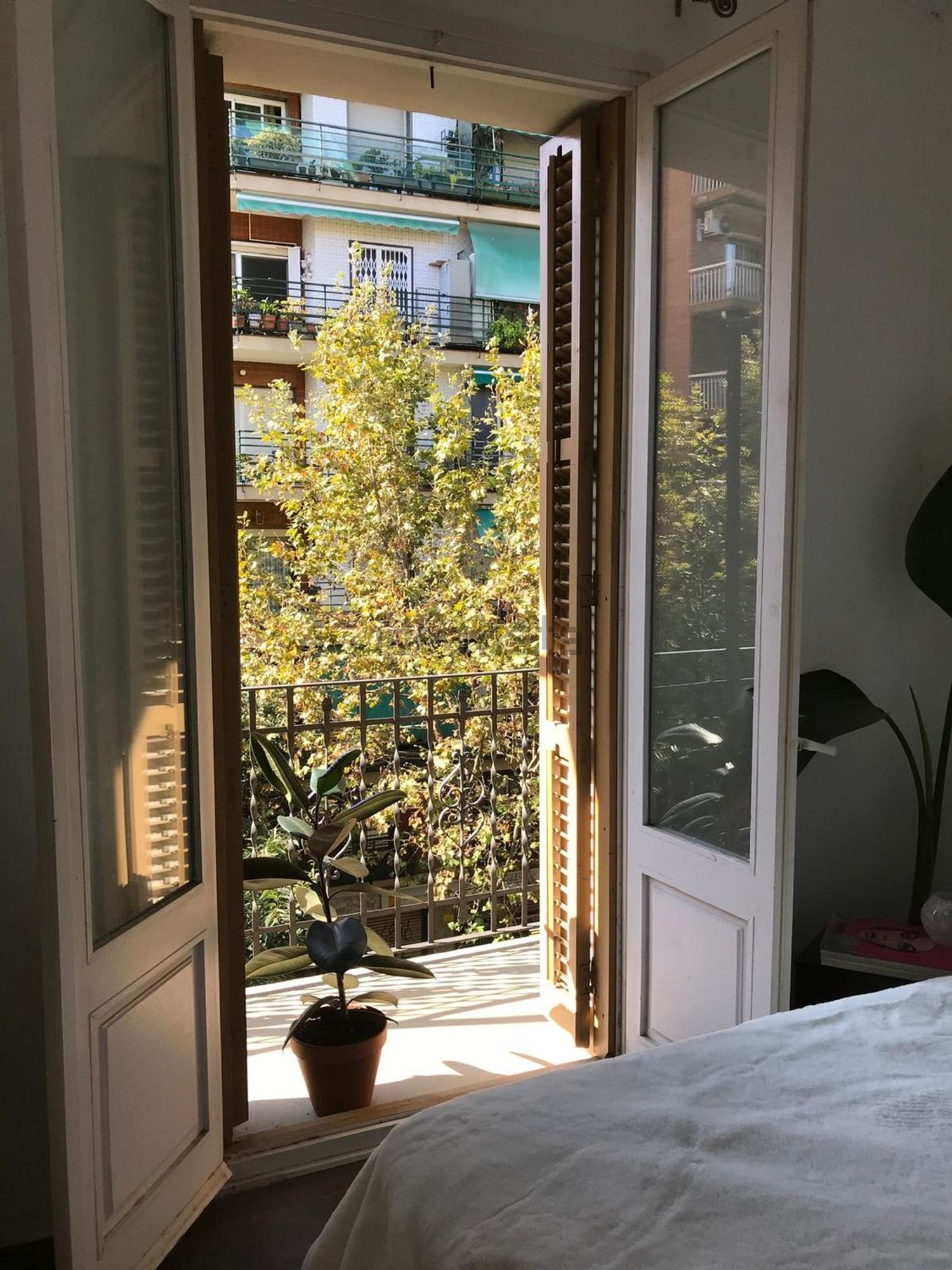 Habitació de lloguer, Barcelona