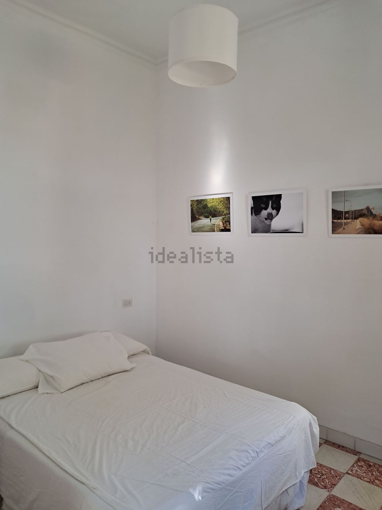 Stanza in affitto, Palma