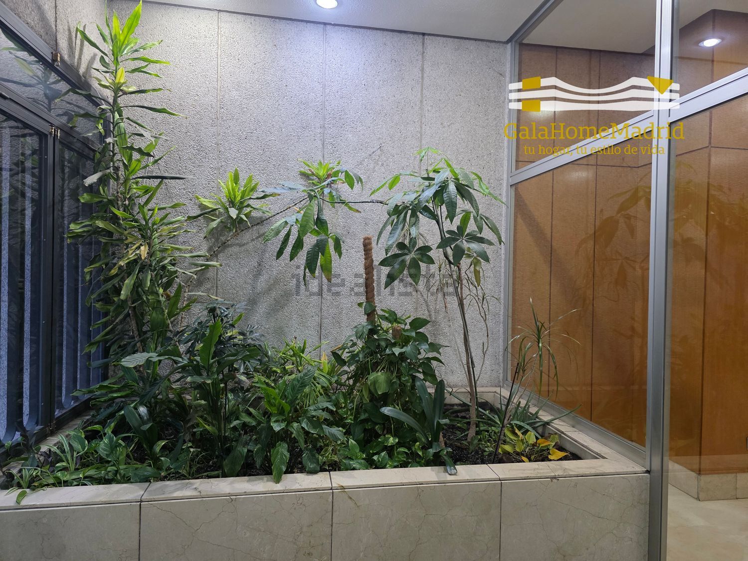 Pis de 55 m² a Madrid