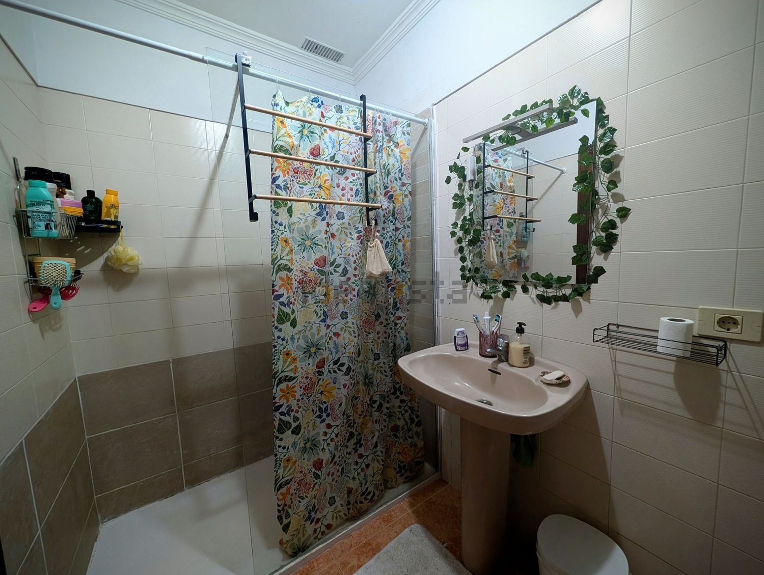 Habitació de lloguer, San Cristóbal de La Laguna