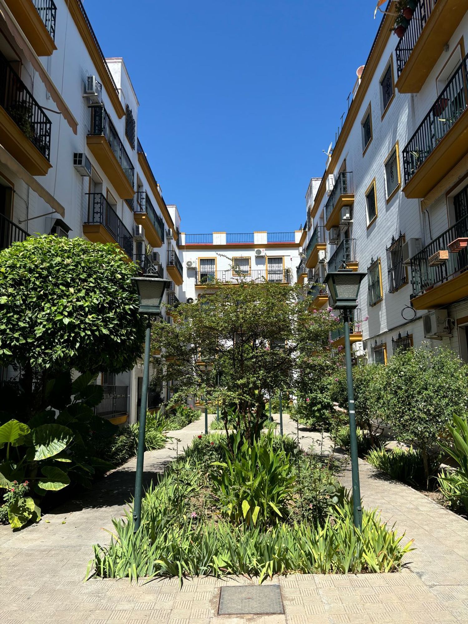 Habitació de lloguer, Sevilla