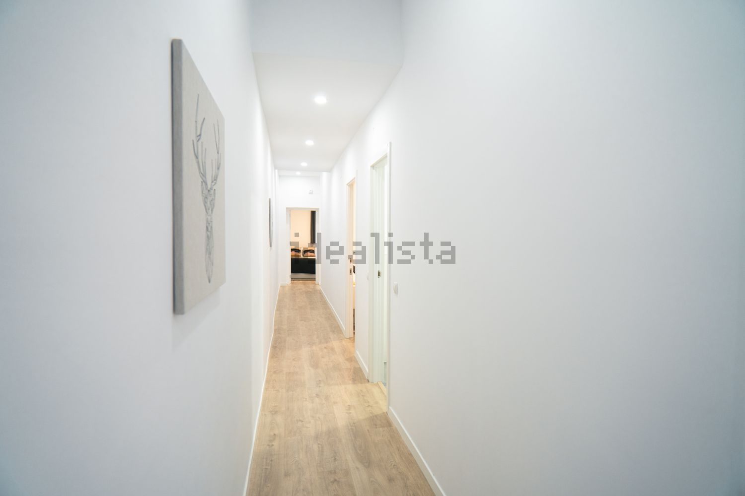 Stanza in affitto, Madrid
