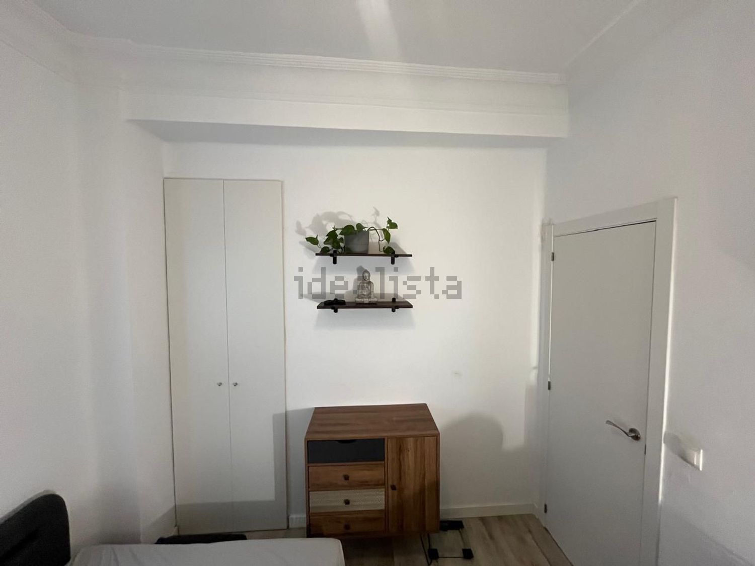 Stanza in affitto, Valencia