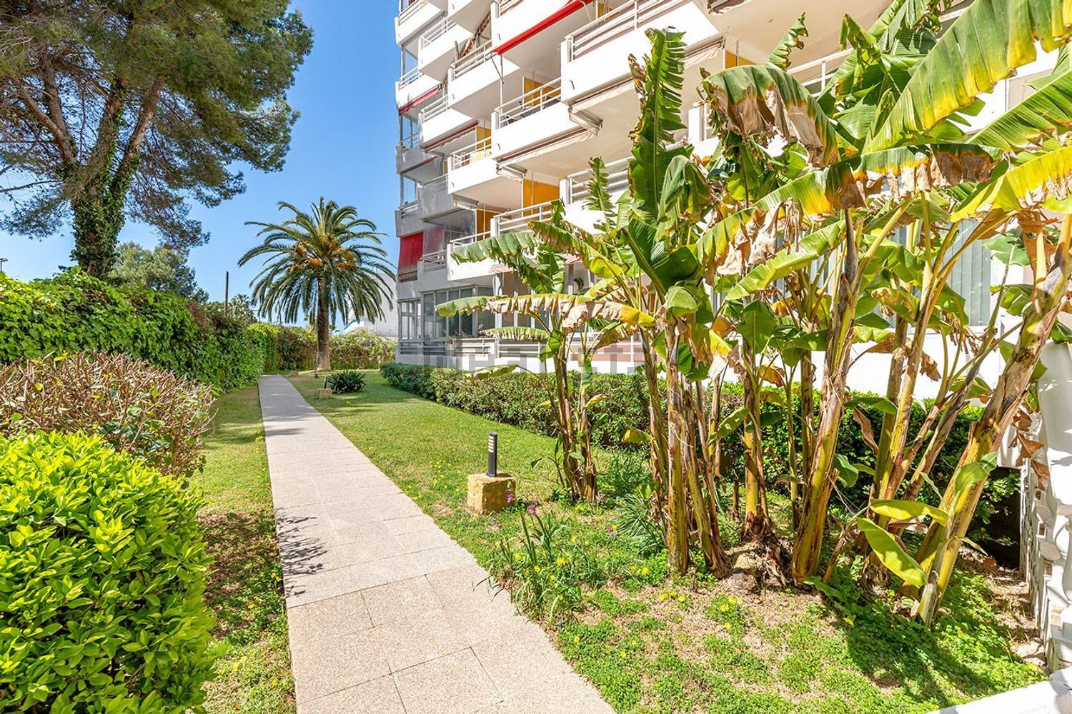 Pis de 37 m² a Calvià