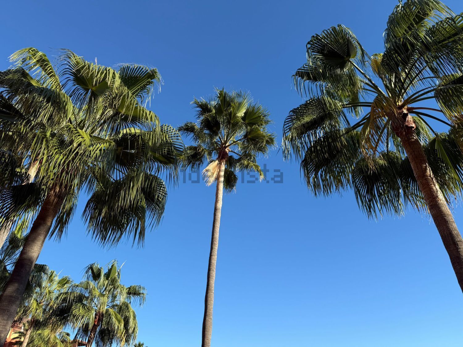 Pis de 111 m² a Marbella