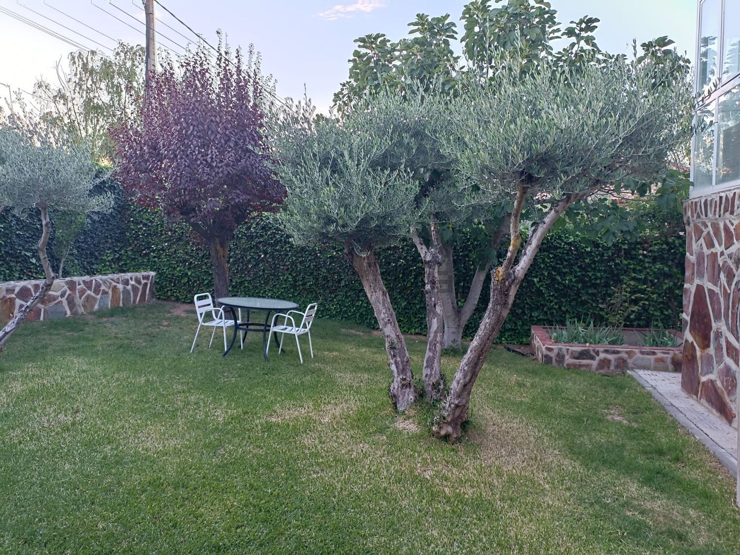 Habitació de lloguer, Torrejón del Rey