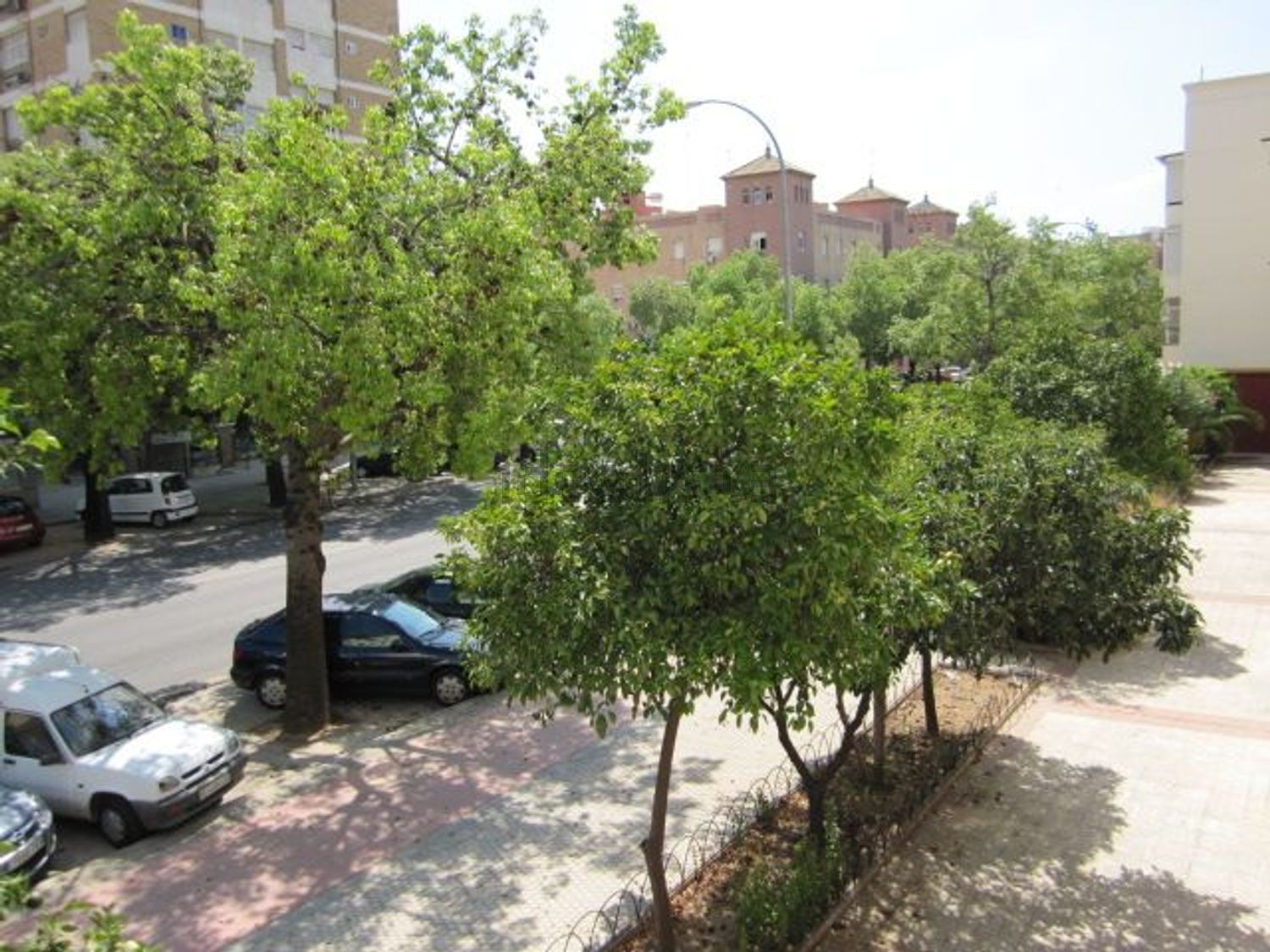 Habitació de lloguer, Sevilla