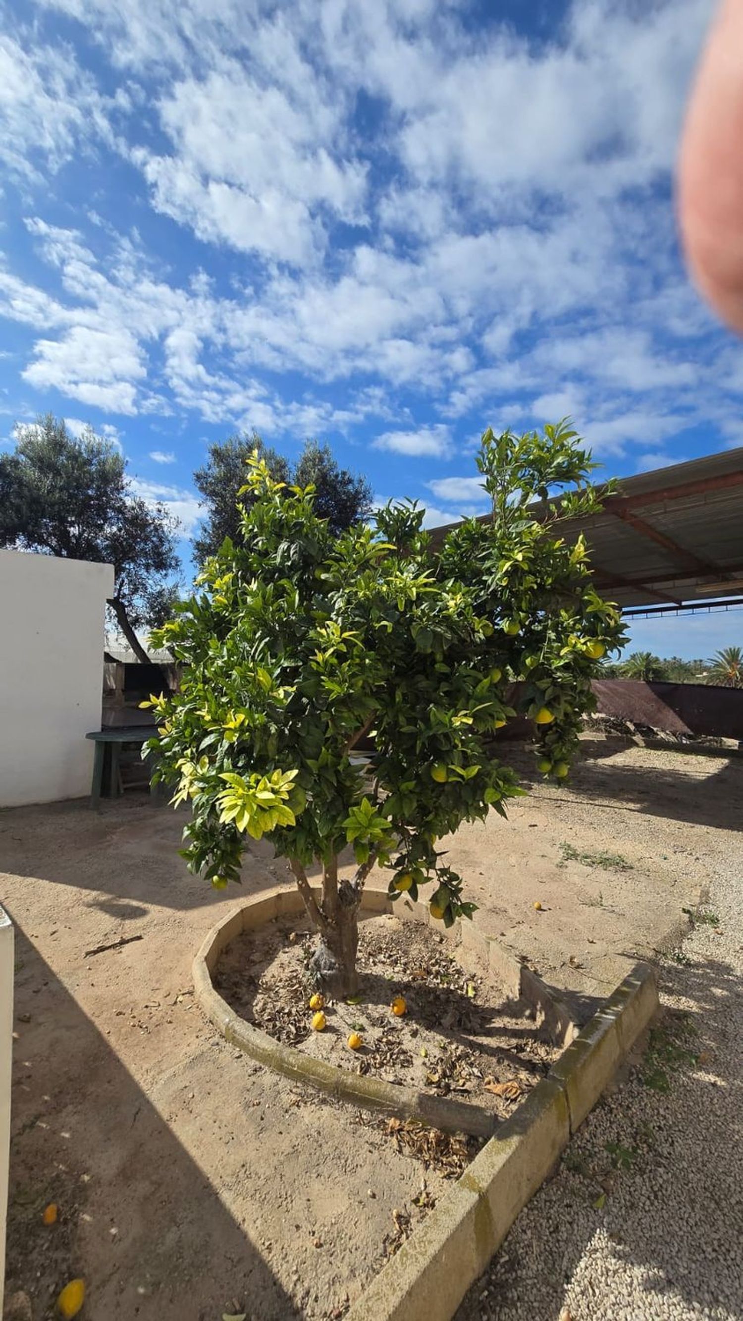 Casa de 200 m² a Elx