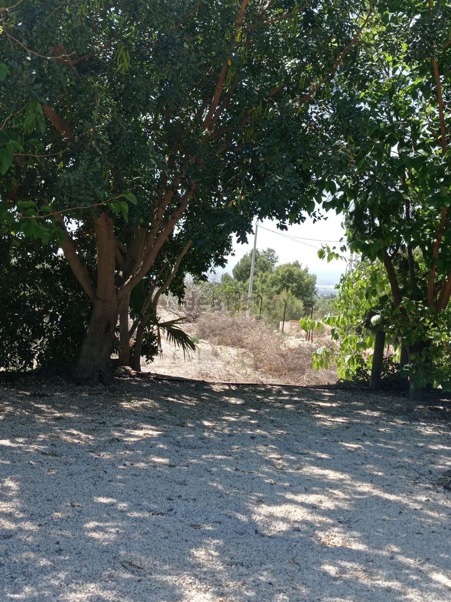 Casa de 350 m² en Crevillent