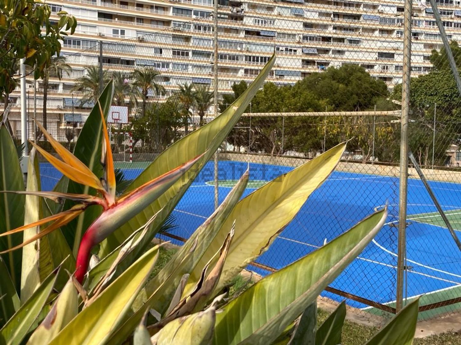 Piso de 65 m² en Alicante