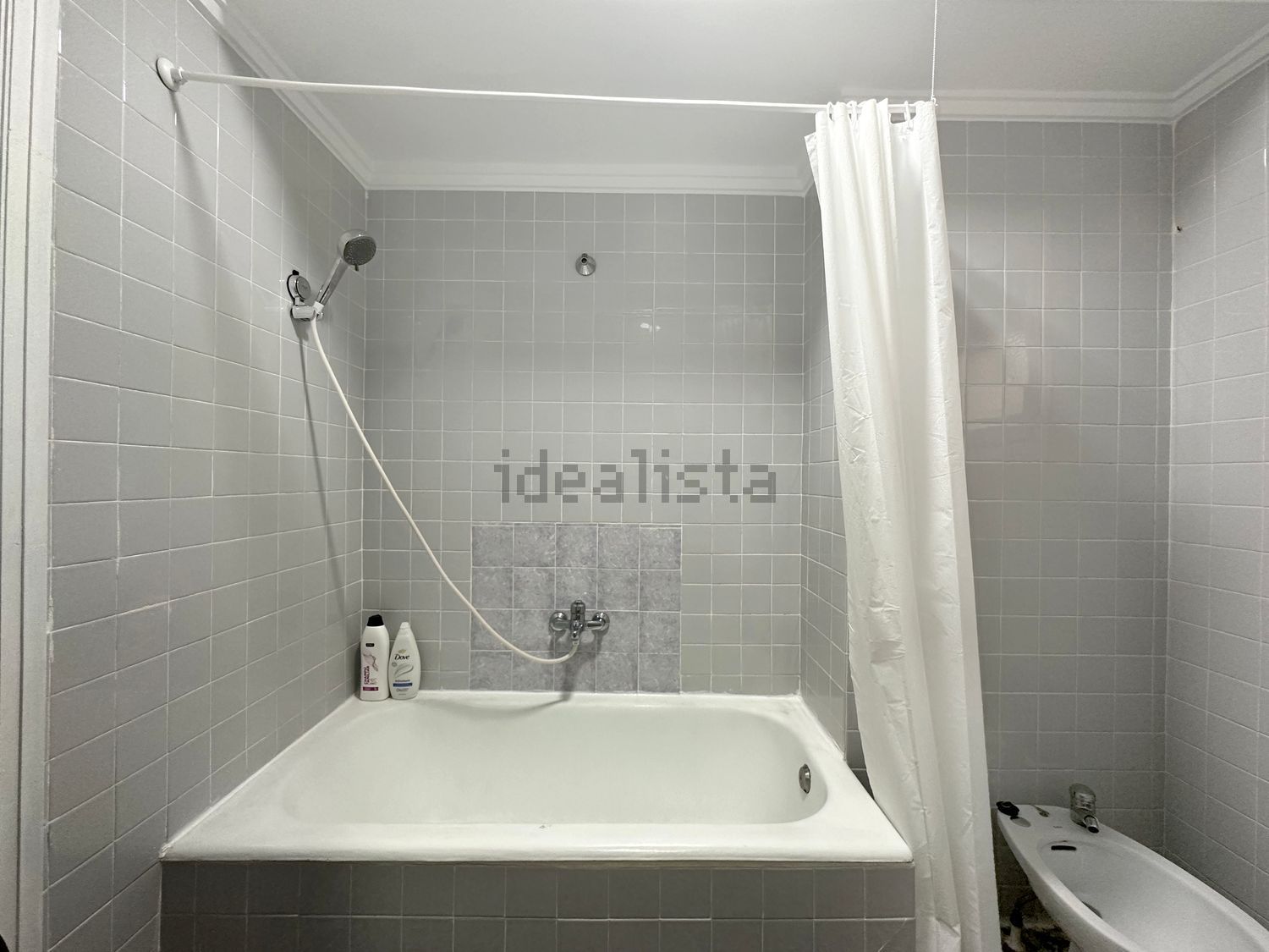 Stanza in affitto, Valencia