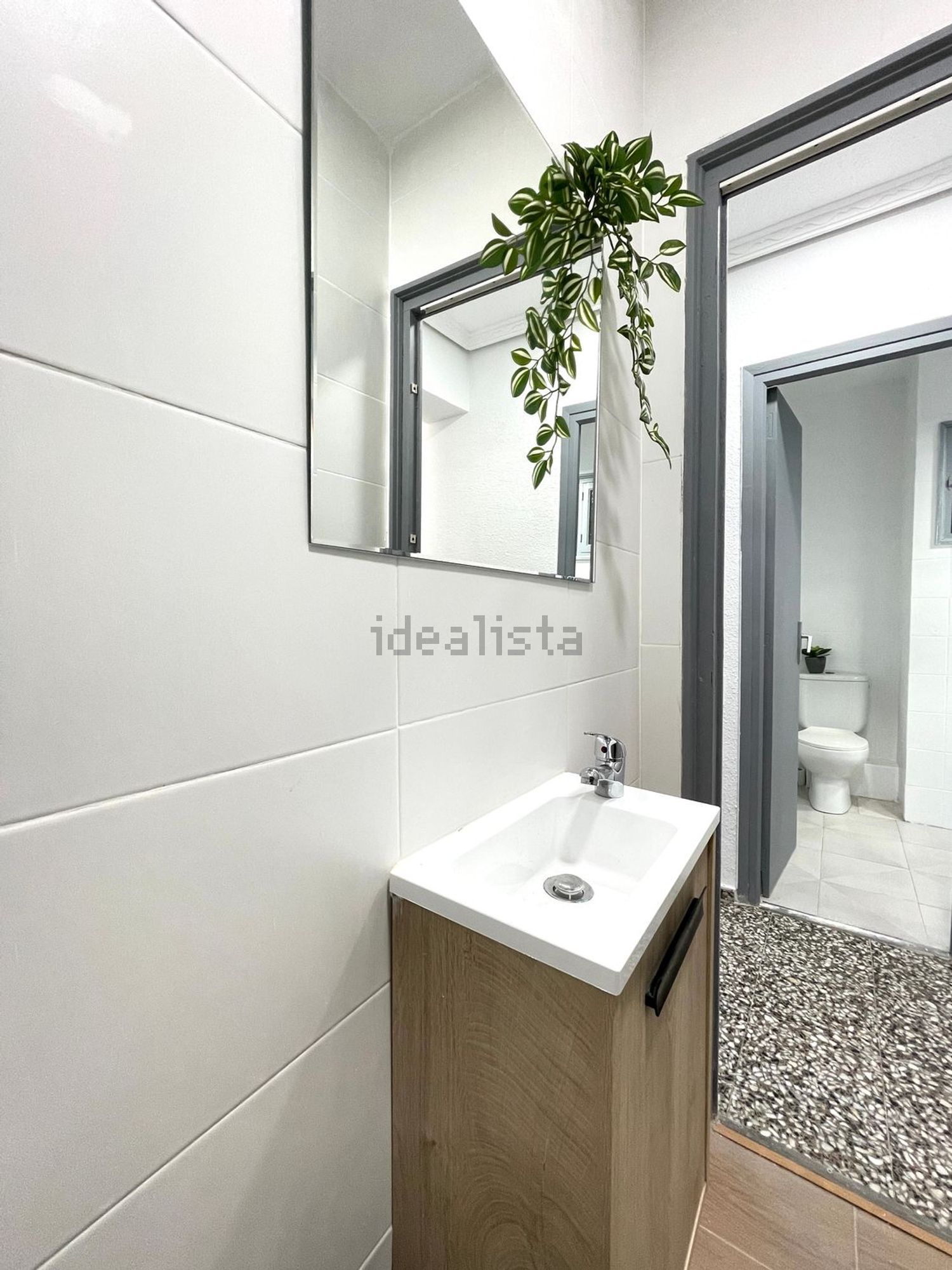 Habitació de lloguer, Alacant